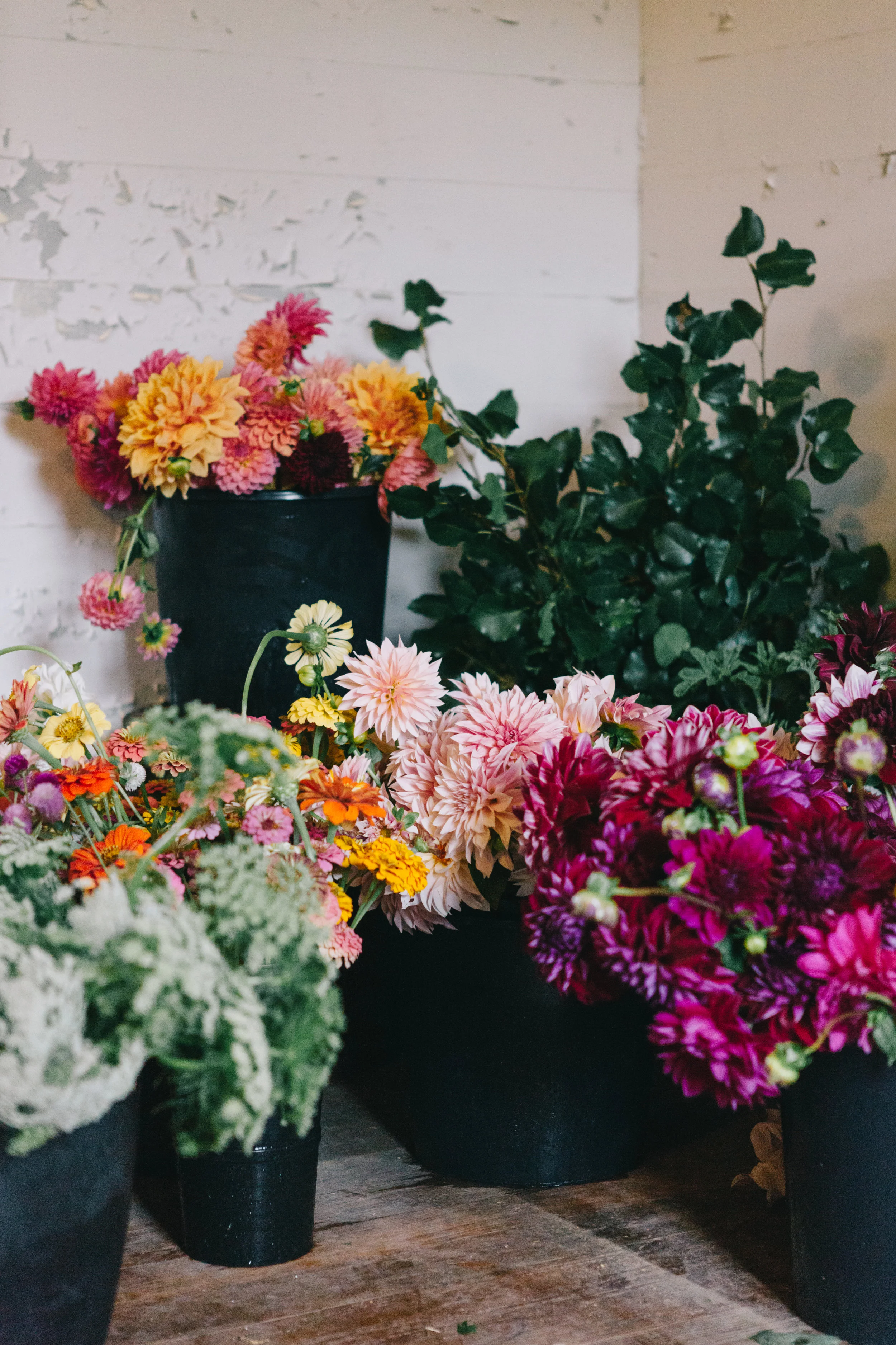 Anna Hedges Photography