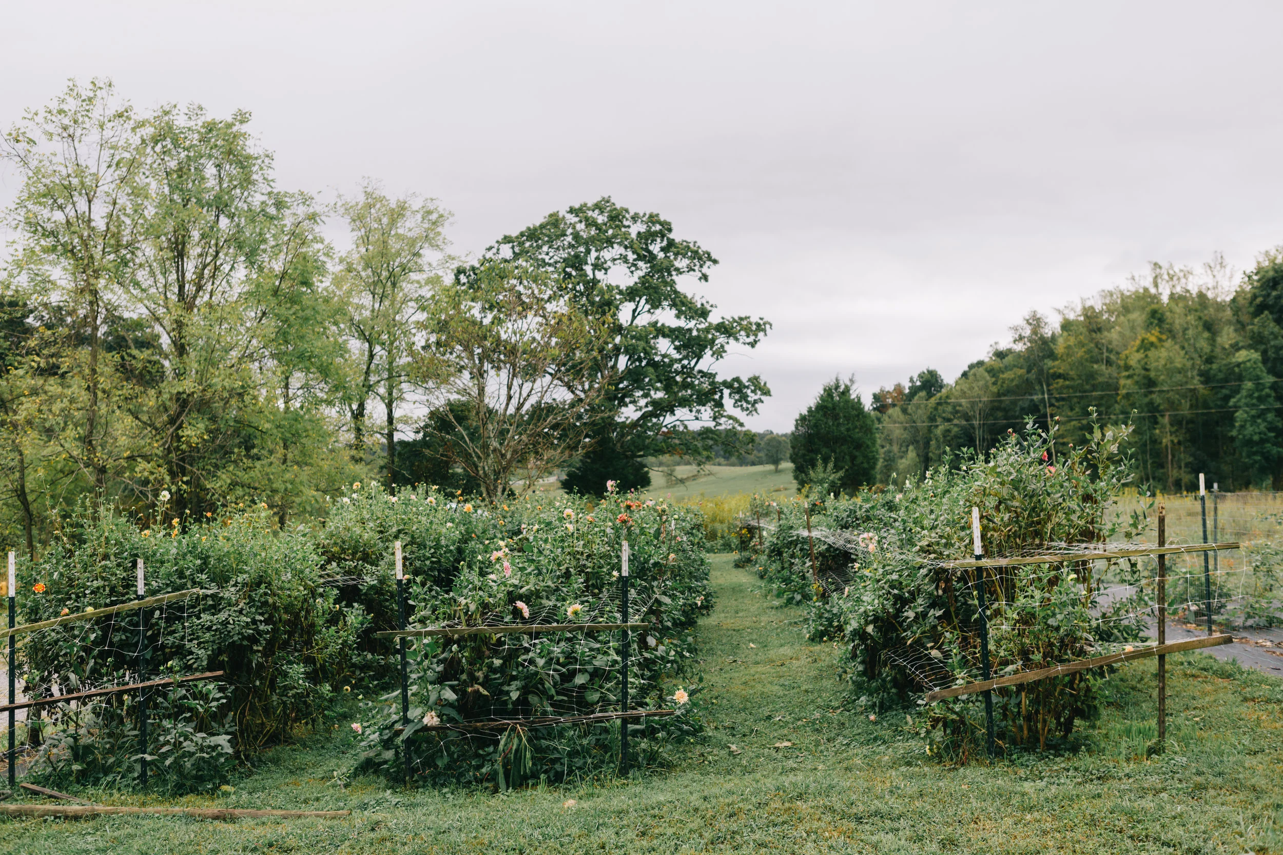 Anna Hedges Photography