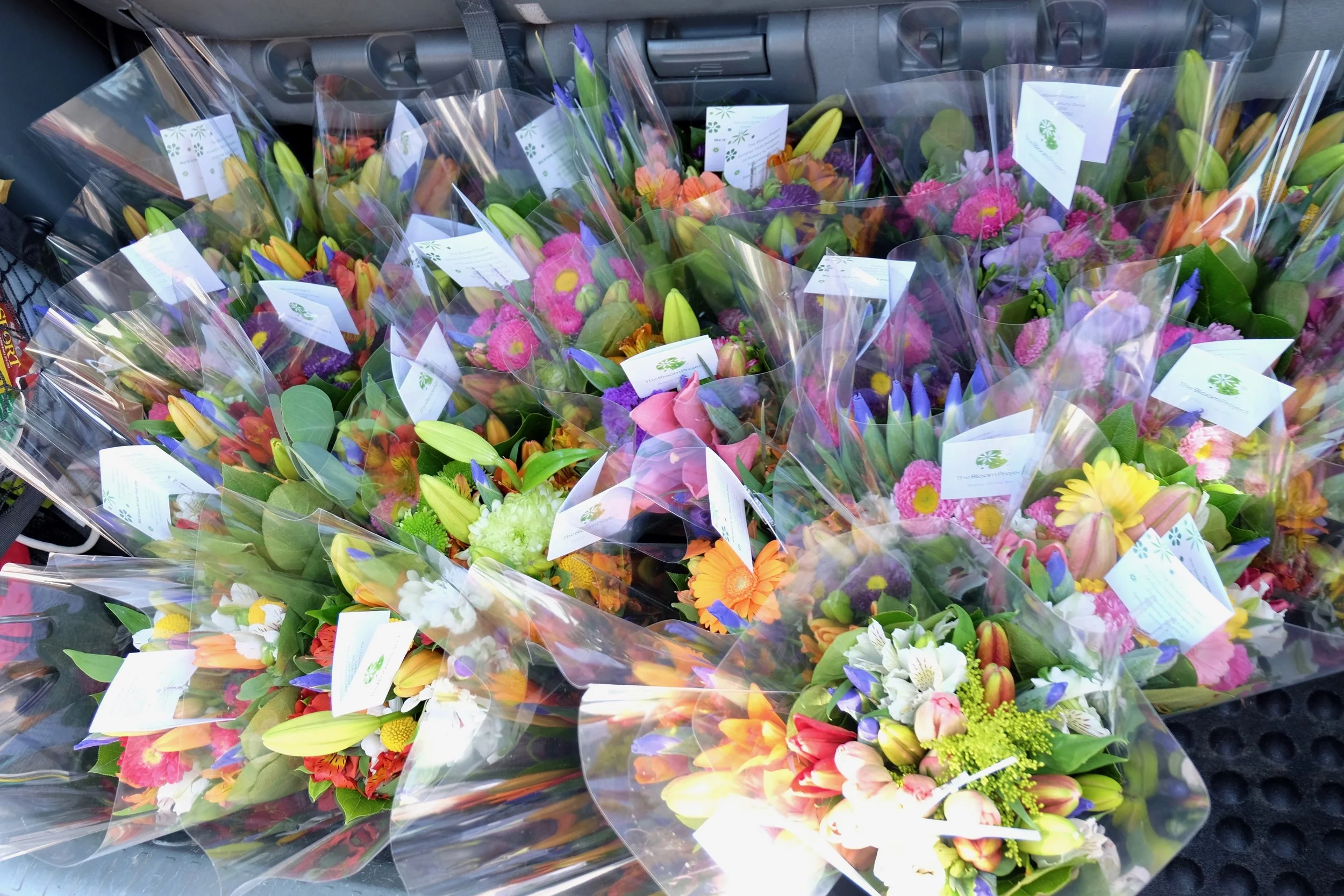 DSCF3516.jpg