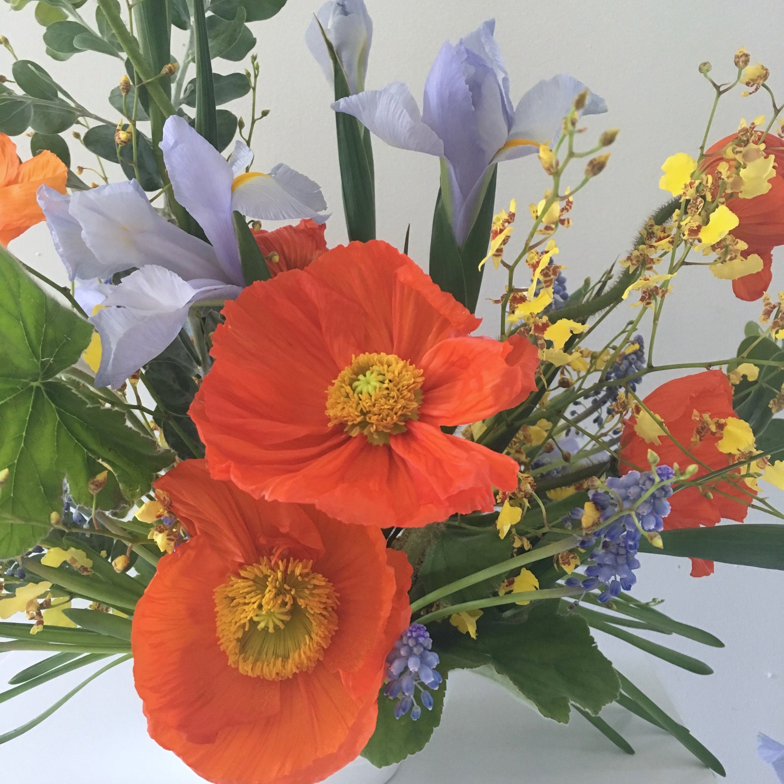 Fast Flower Video: Using the Iris Flower for Arranging