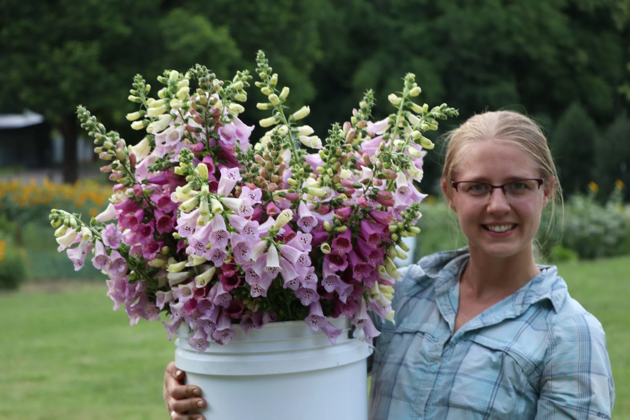 Video Growing Flowers for Profit