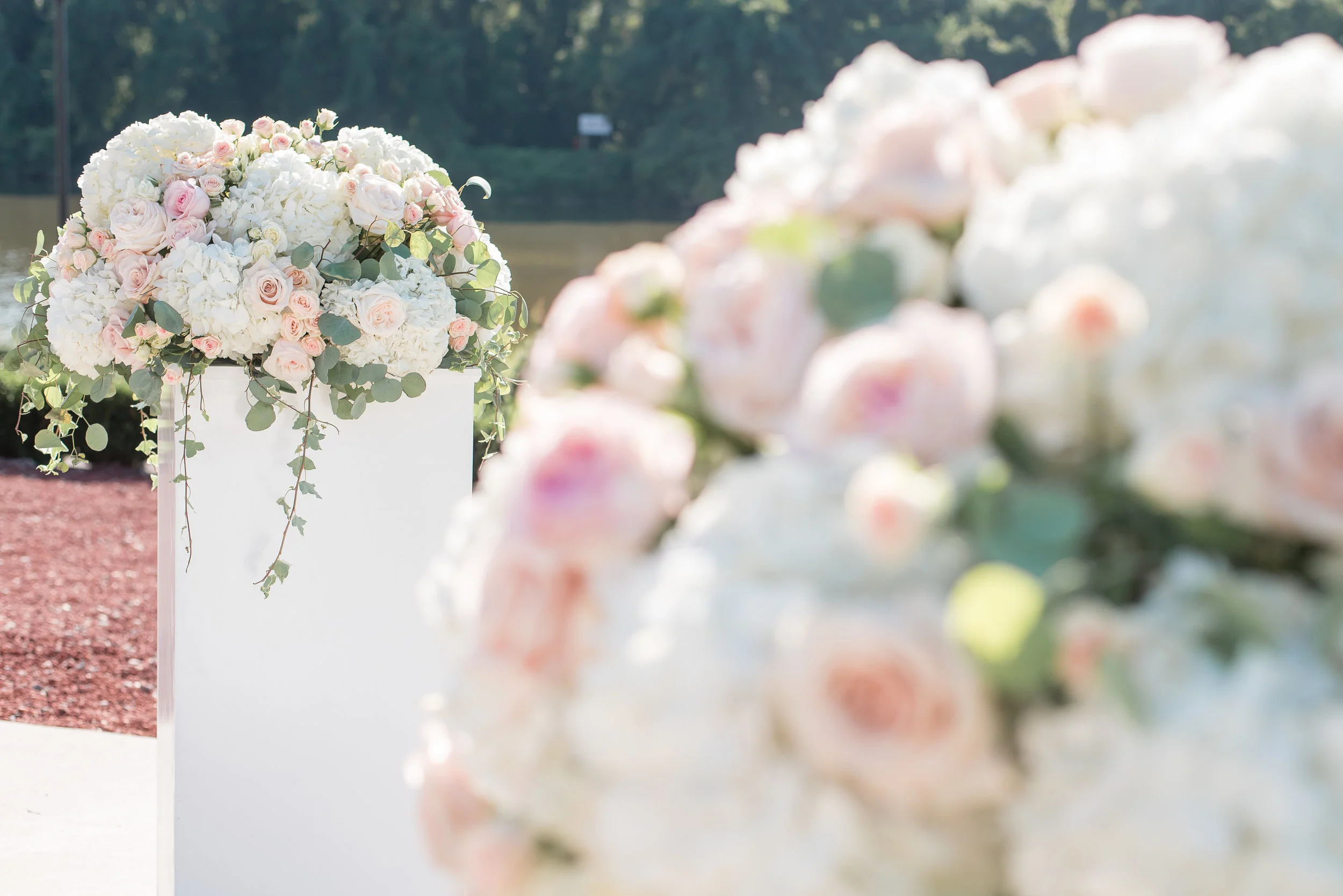 Melissa DesJardins Photography