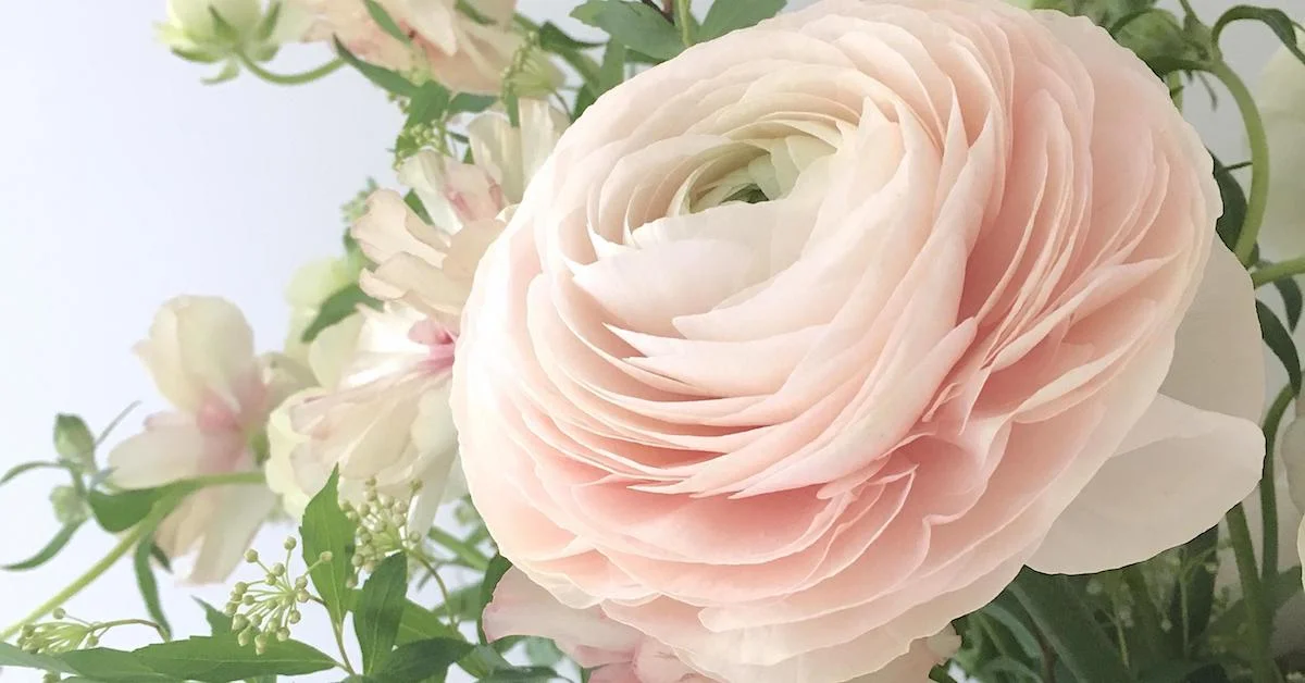 Video: Design Foundations of a Wedding Centerpiece