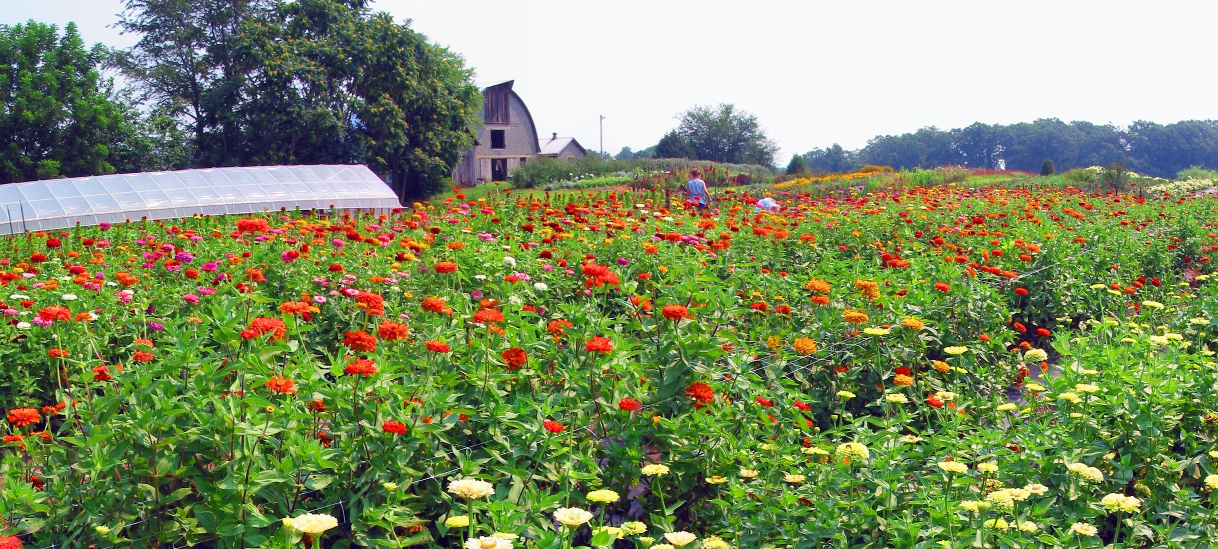 Lou Gagnon - Lou Gagnon- Farm View 5.jpg