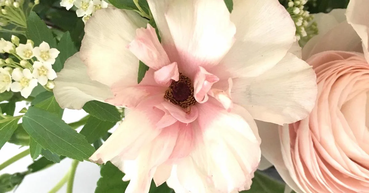 Video: Create Cocktail Table Centerpieces with One Ingredient