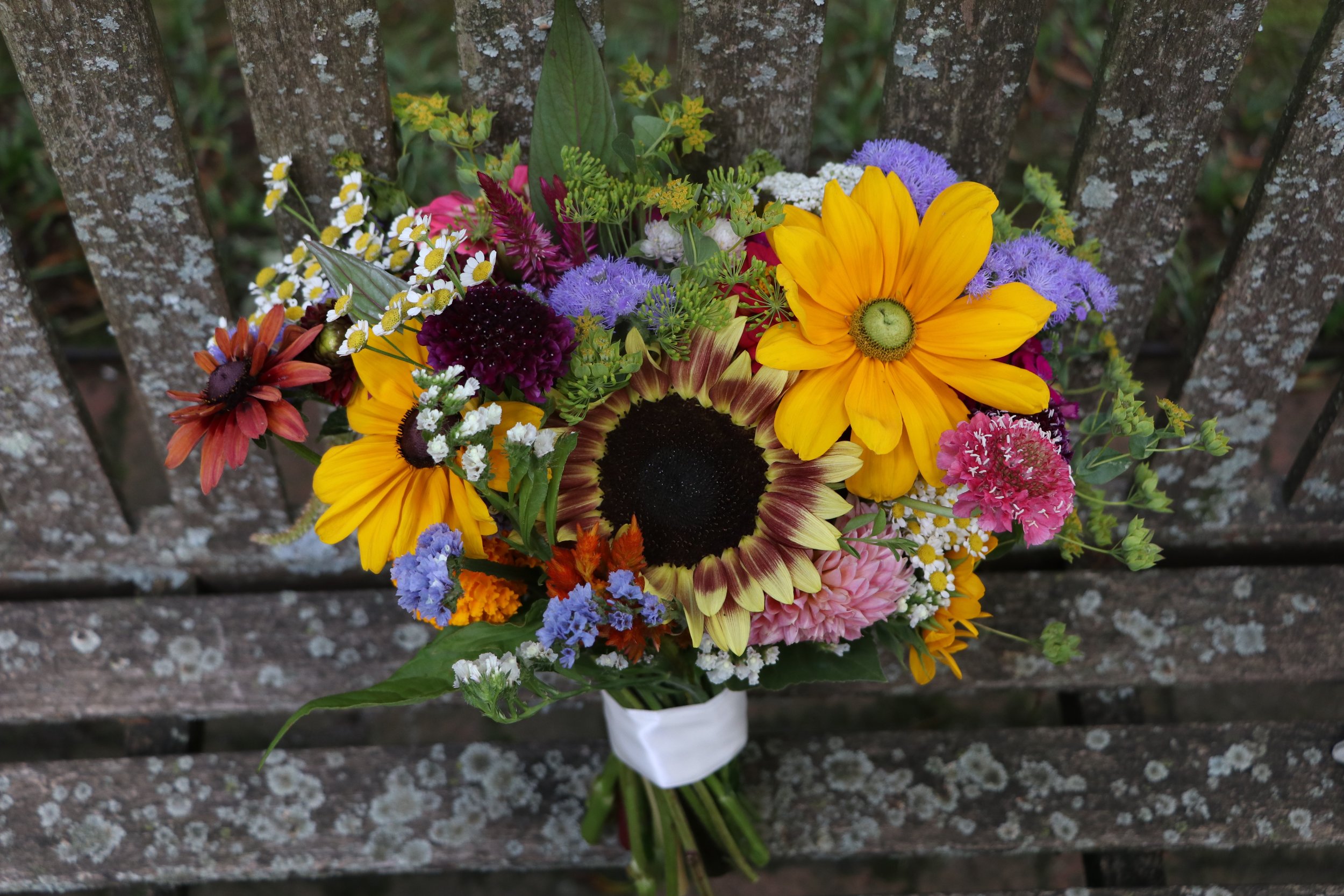 seed to stem bouquets seed to stem bouquets