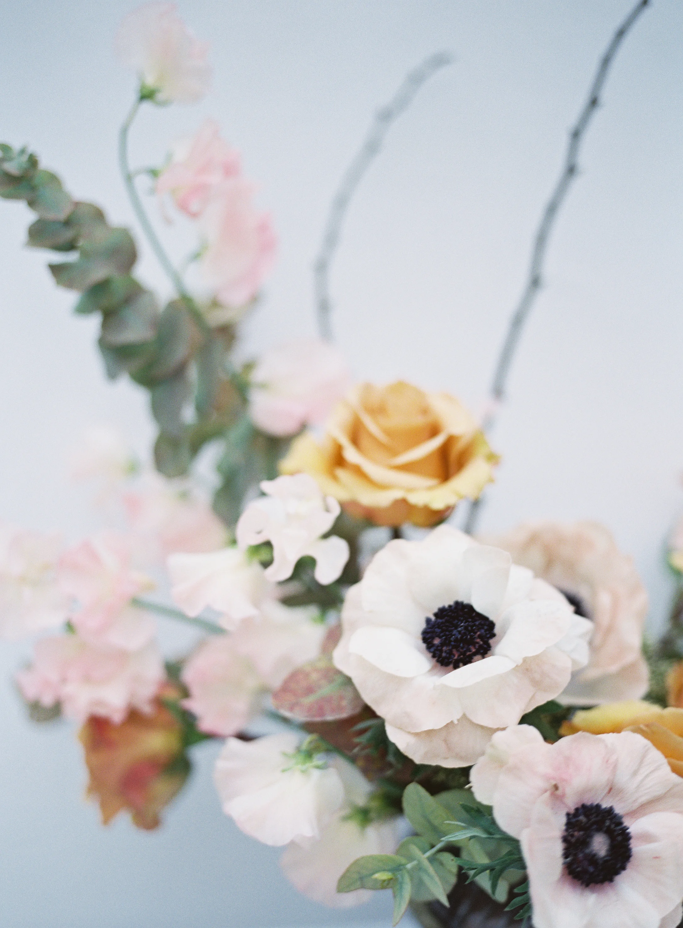 Heather Payne Photography
