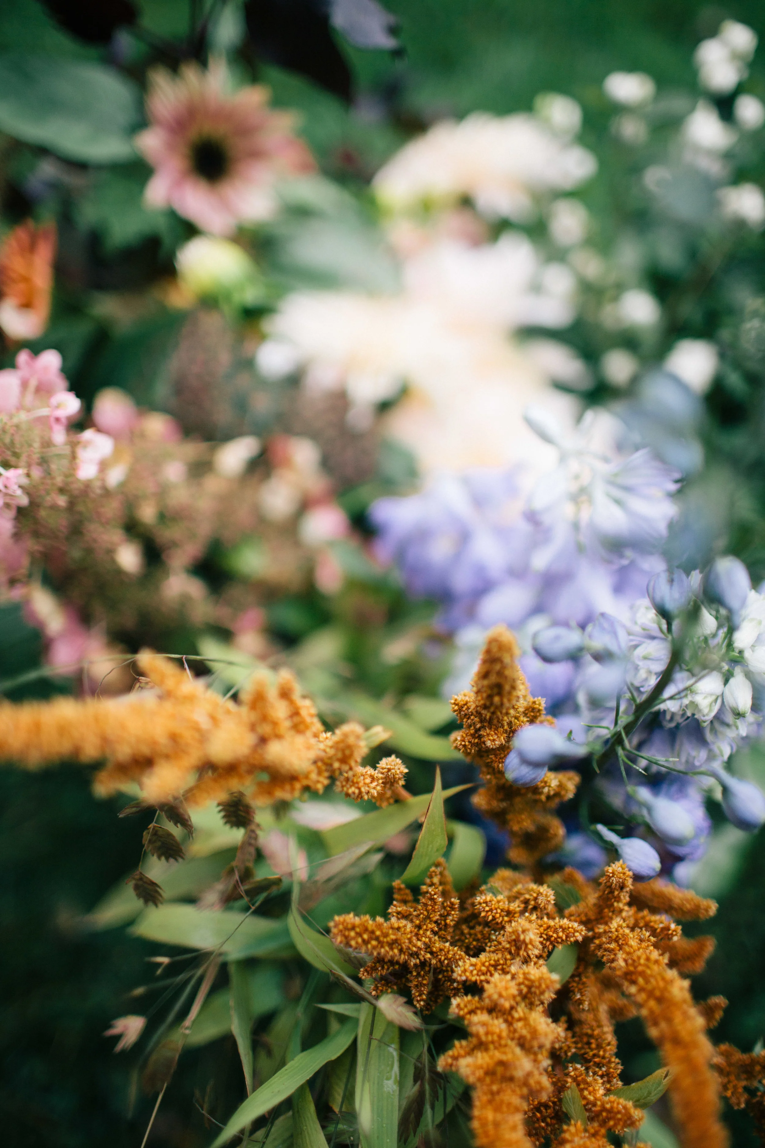 Sara Logan Photography