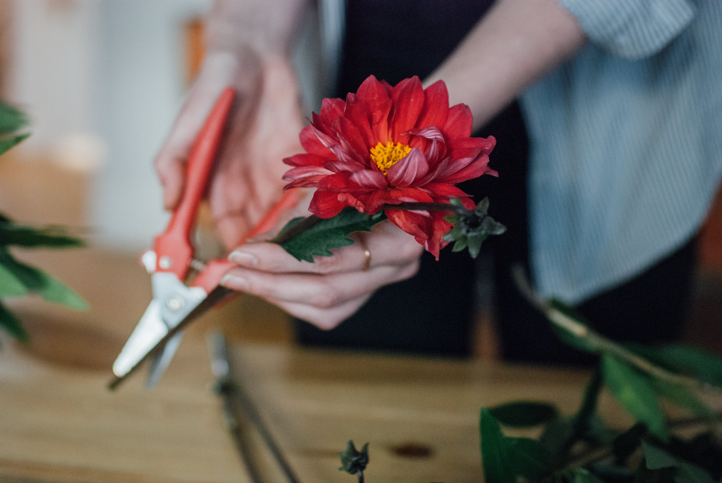 What Is Ikebana? The Mechanics of Ancient Japanese Floral Design