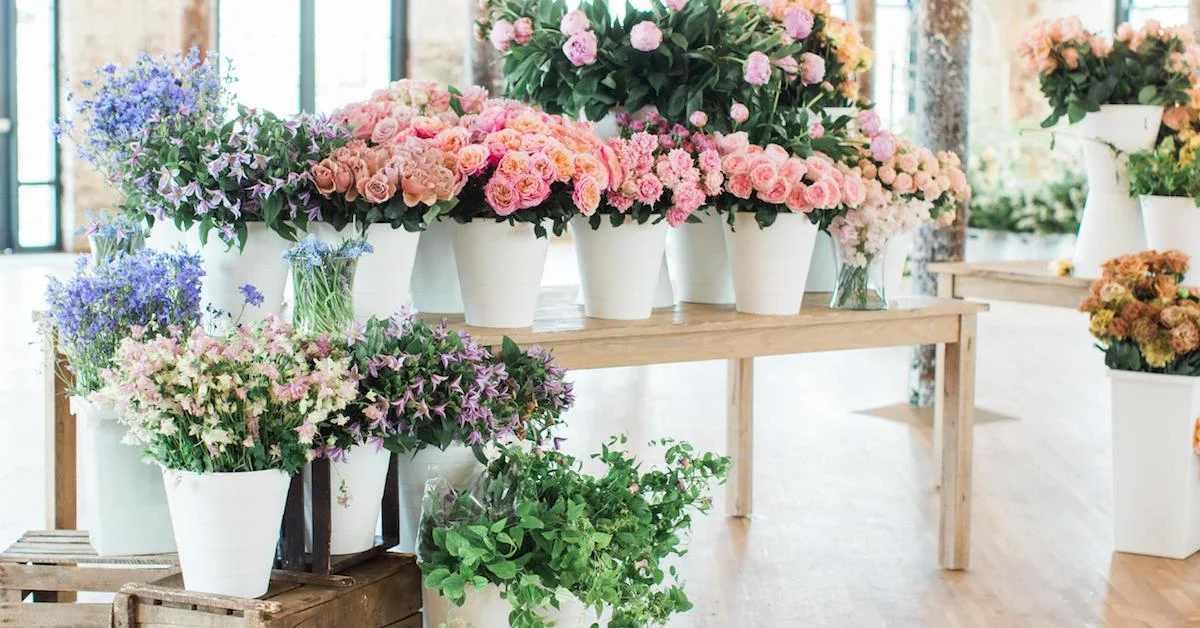Flower Wholesale Inside Look with David Dahlson of Mayesh