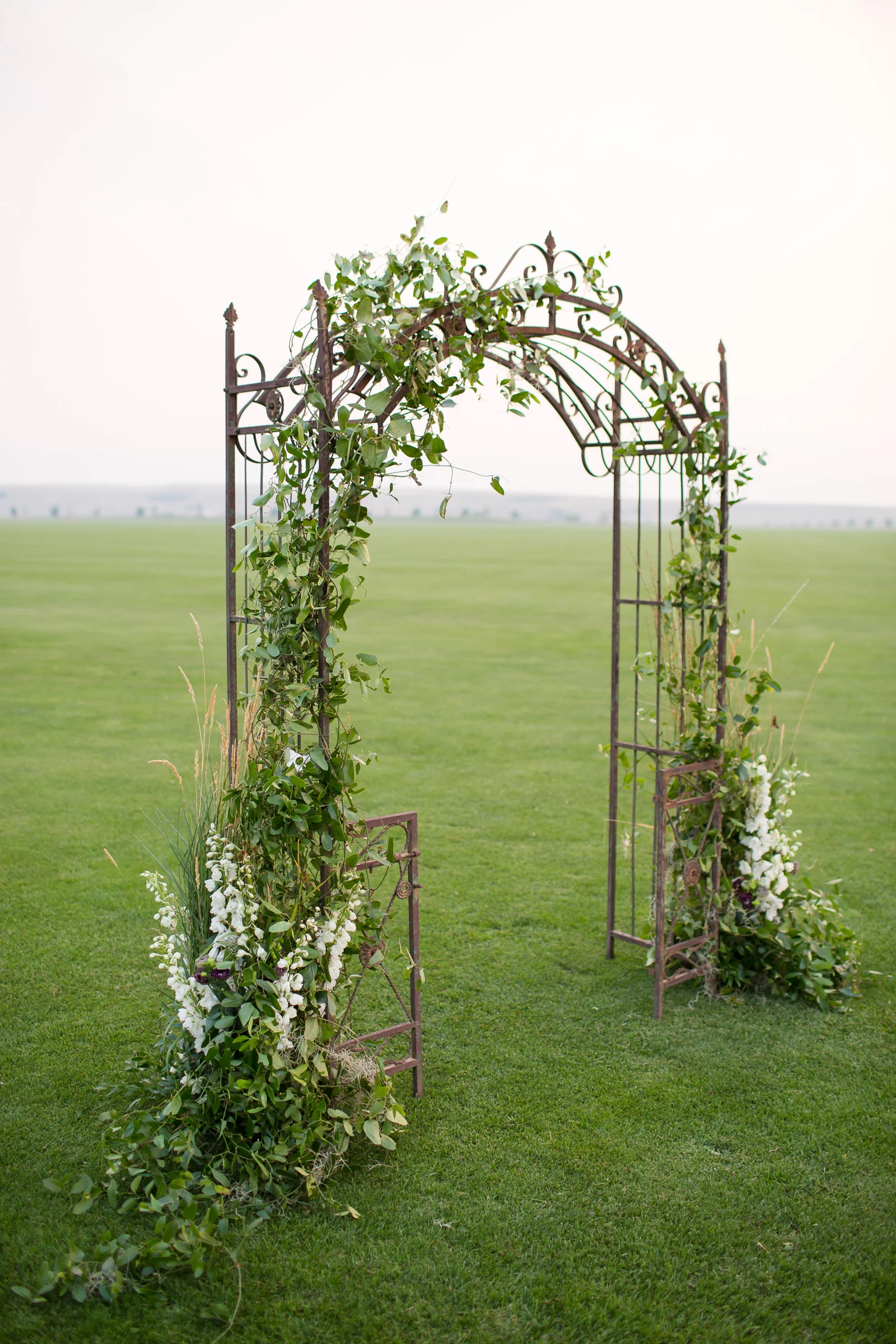 Alissa Ferullo Photography