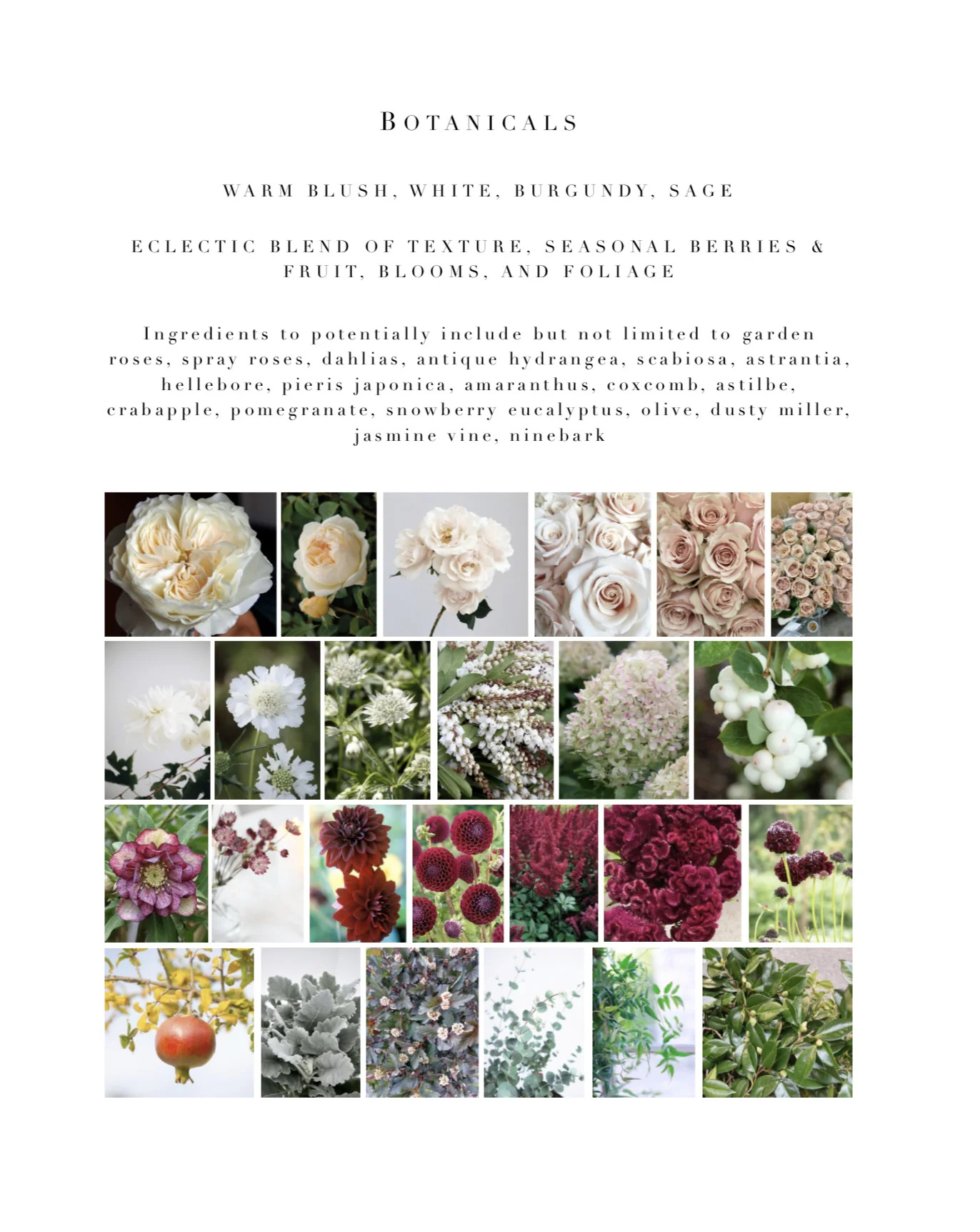 2-botanicals.jpg