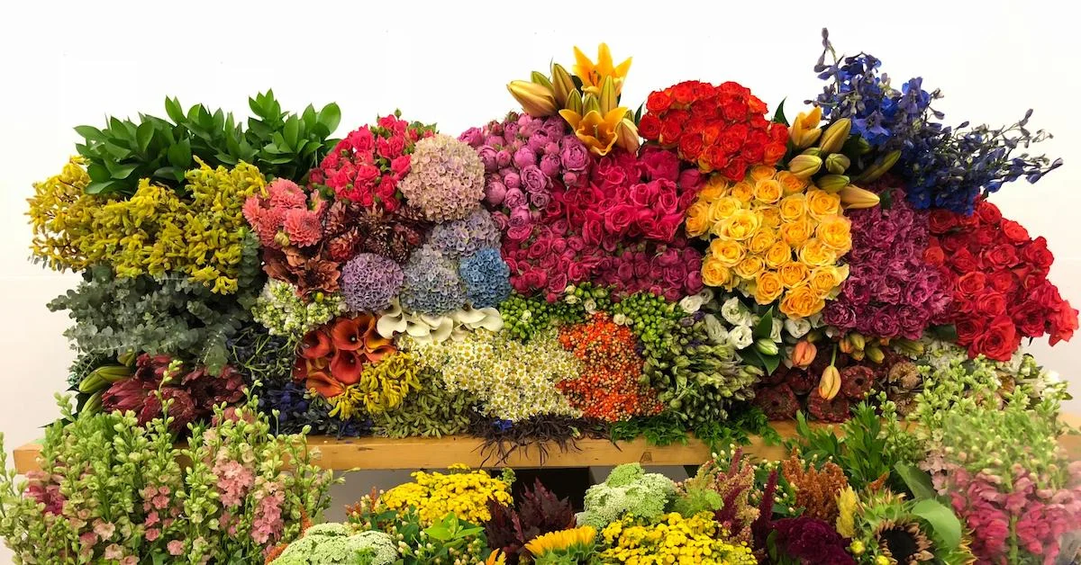 Flower Sourcing Transparency with DVFlora