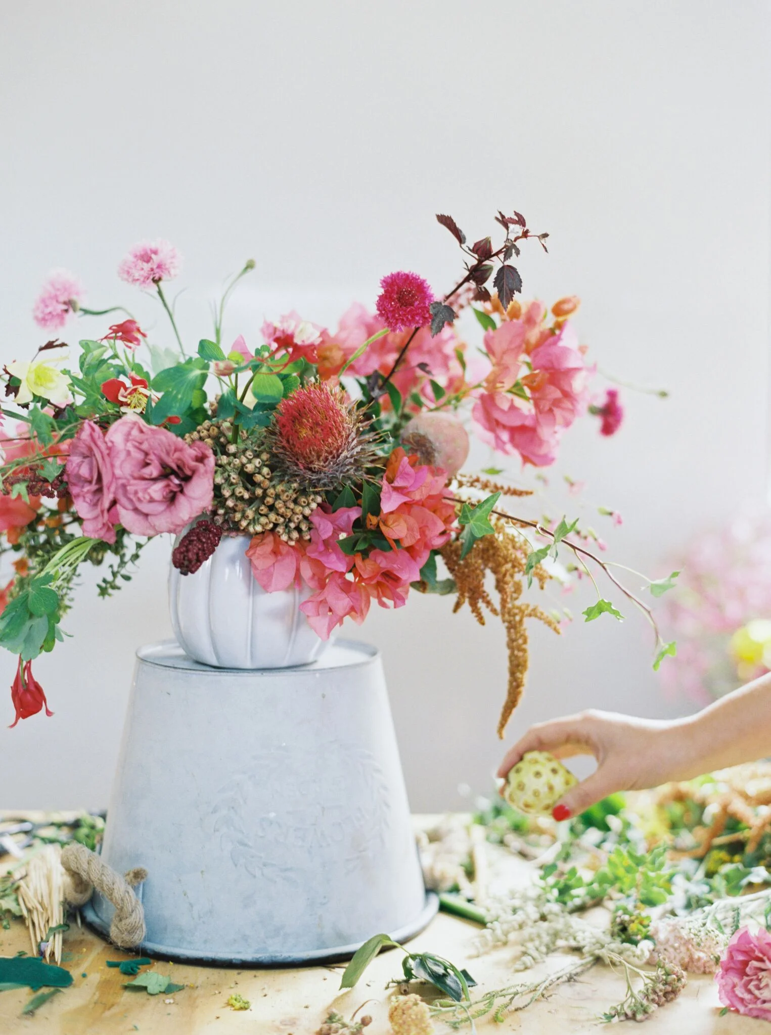 Maureen M. Evans Photography