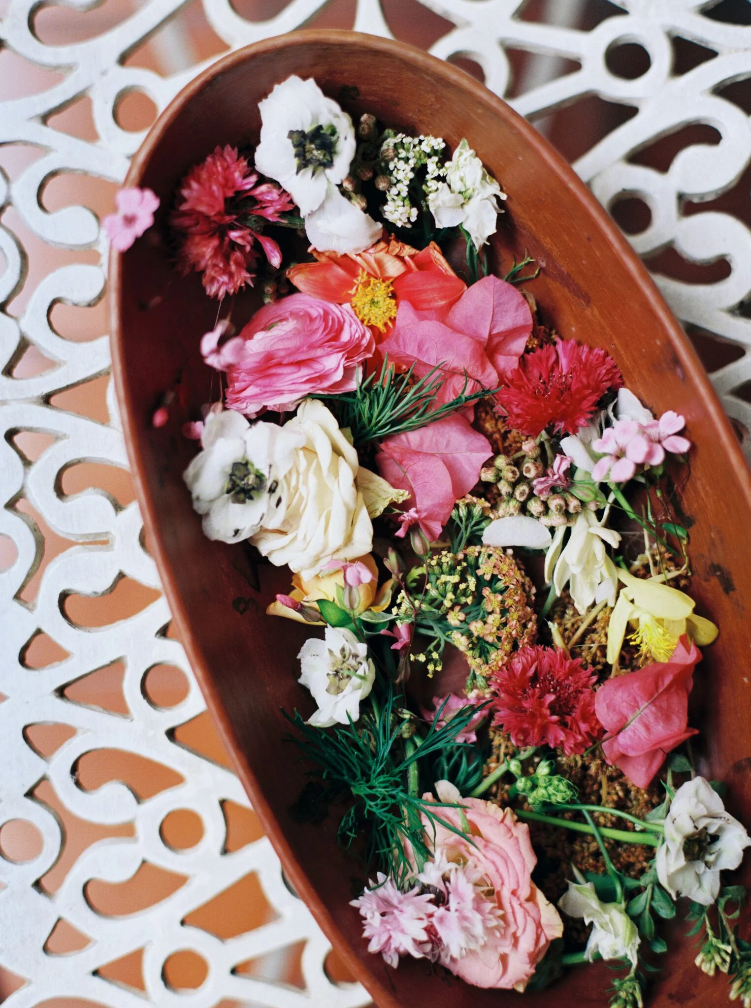Maureen M. Evans Photography