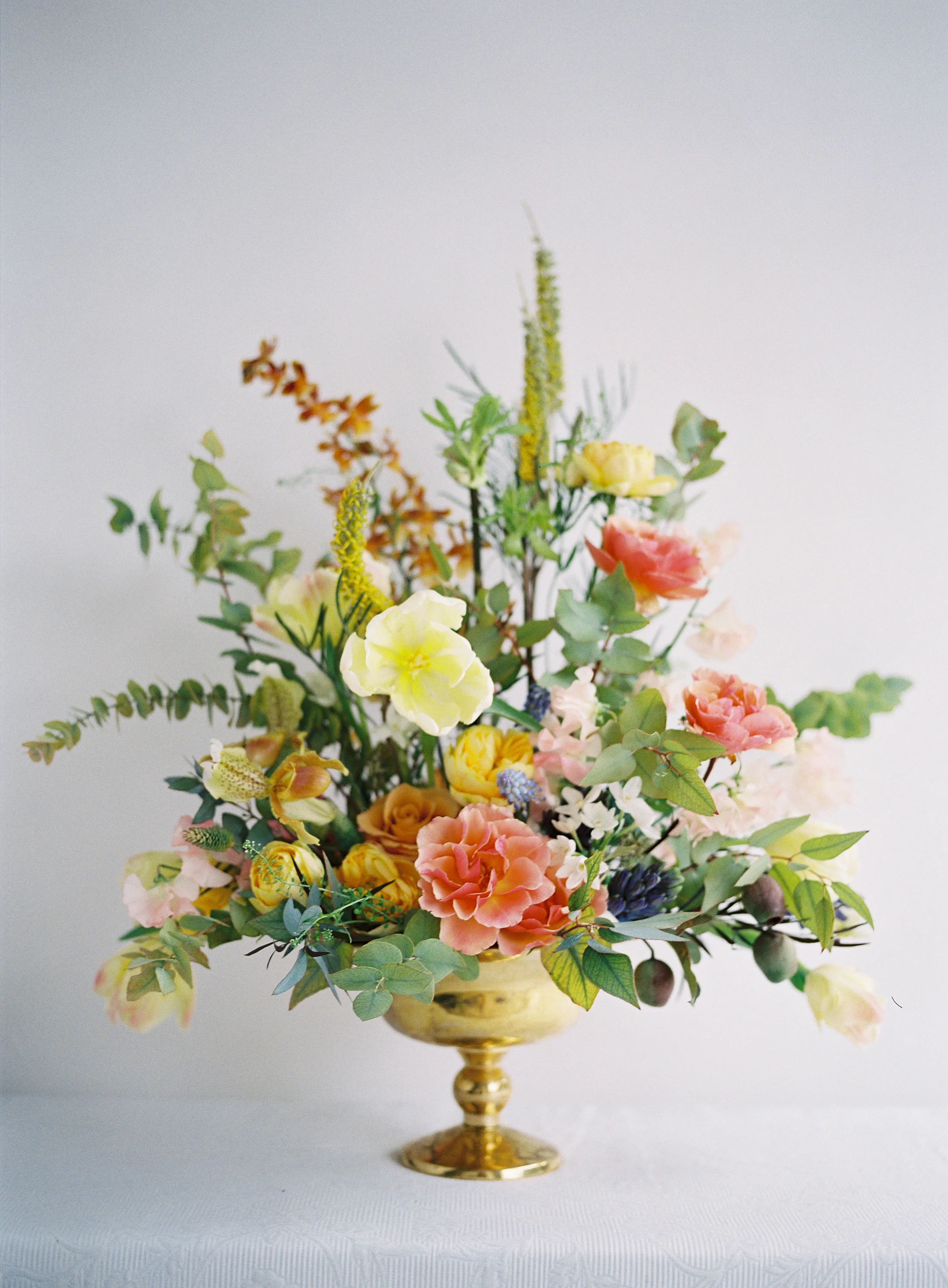 Heather Payne Photography
