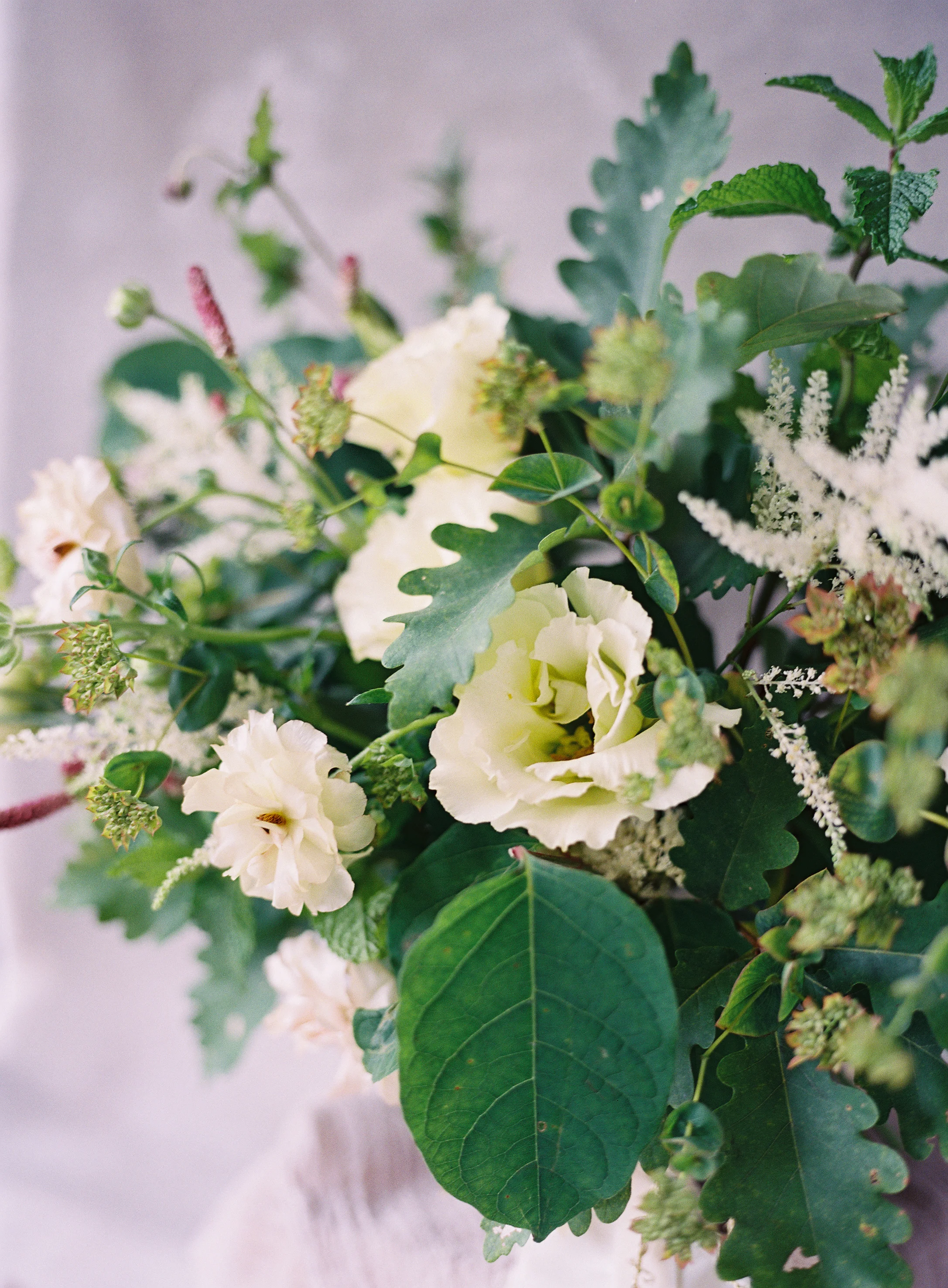 cottonandmagnolia9.jpg