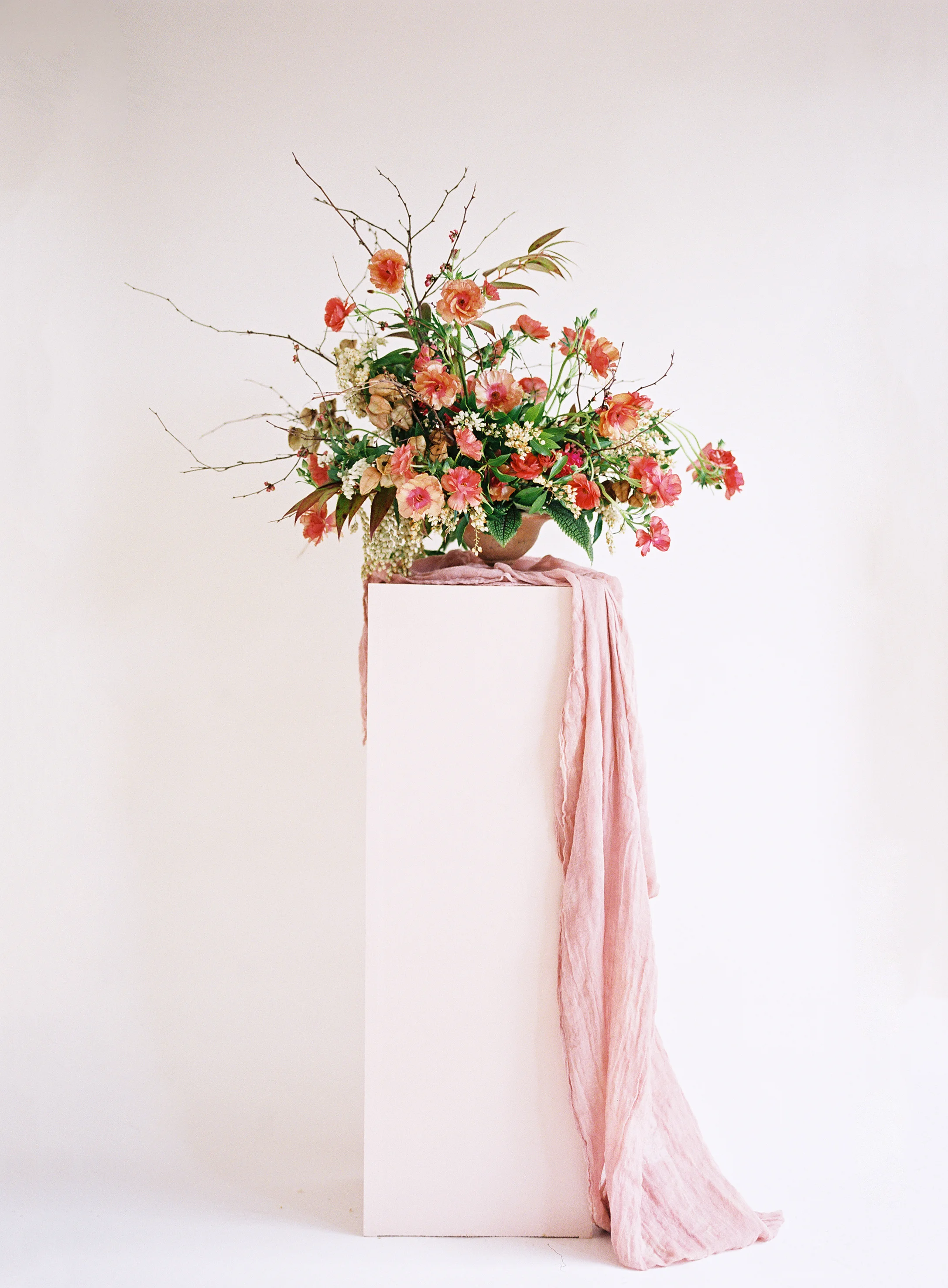 Heather Payne Photography