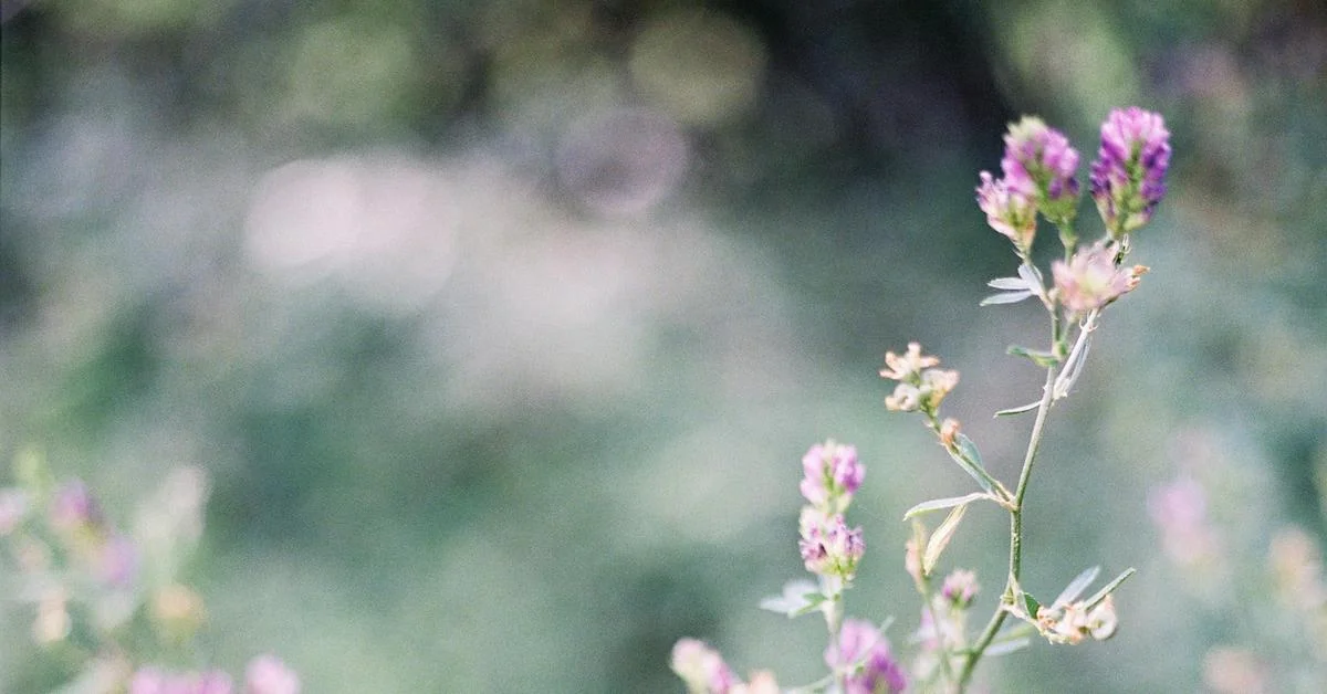 Being an Everyday Philanthropist