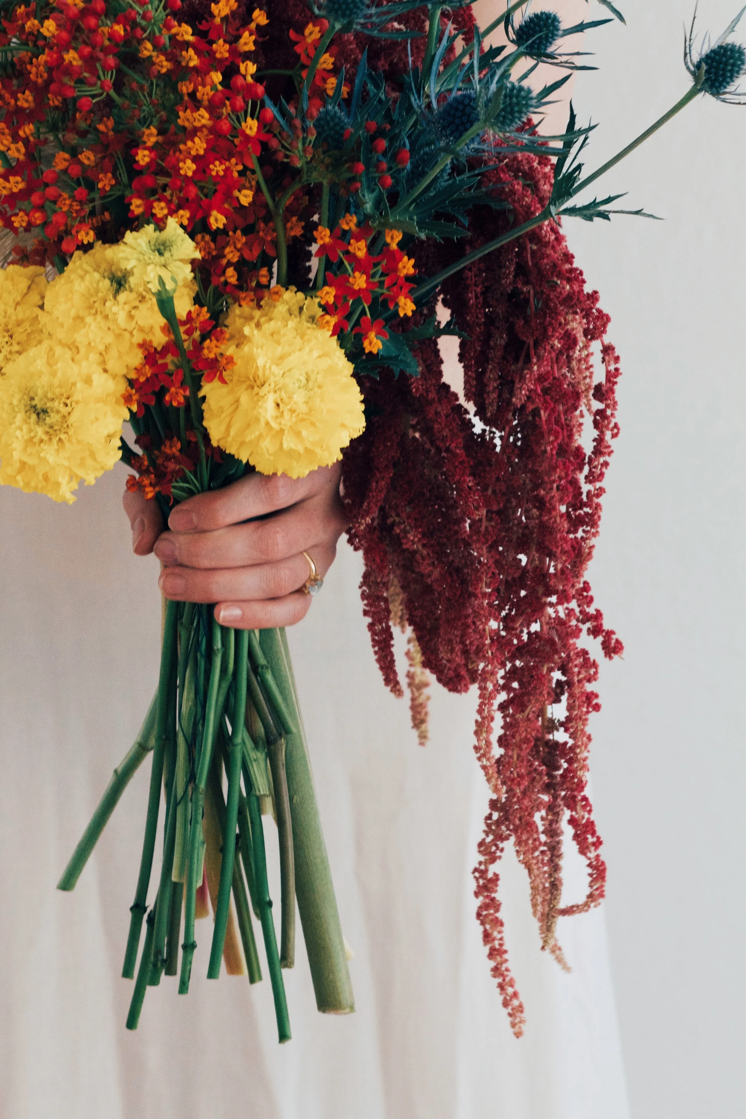 Natalie Halleen Photography