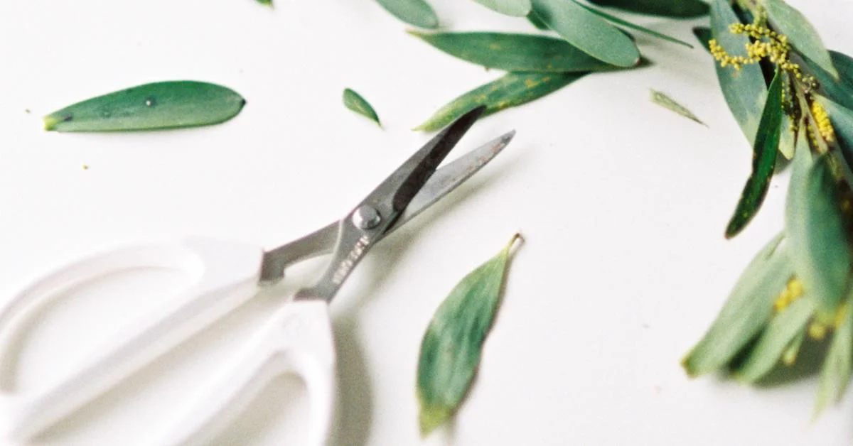 Video: How to overcome perfectionism