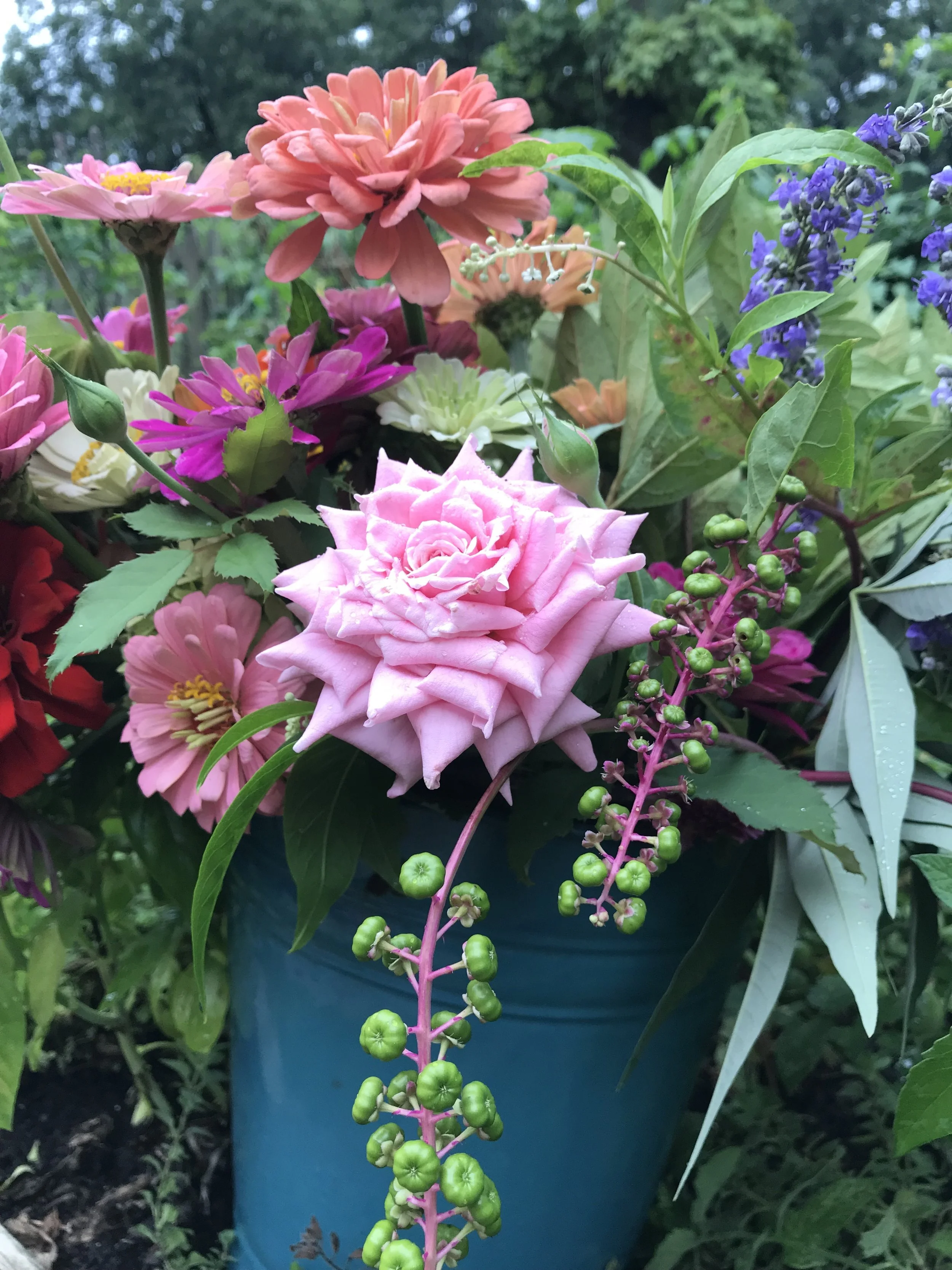 IMG_0441.jpeg