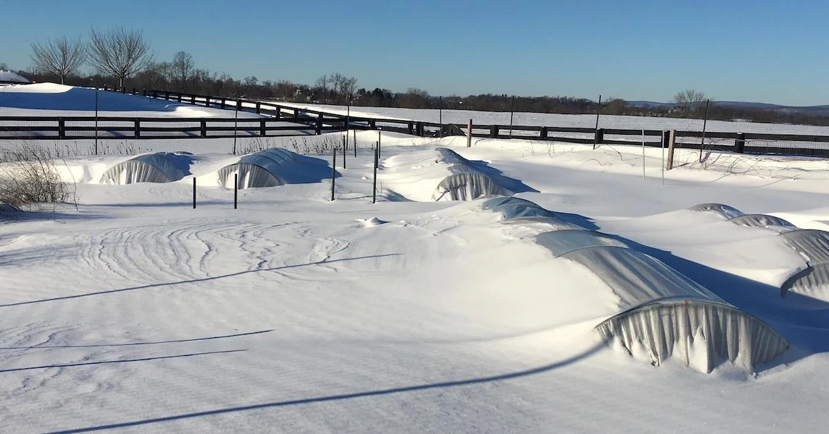 How to Build a Caterpillar Tunnel to Withstand Winter