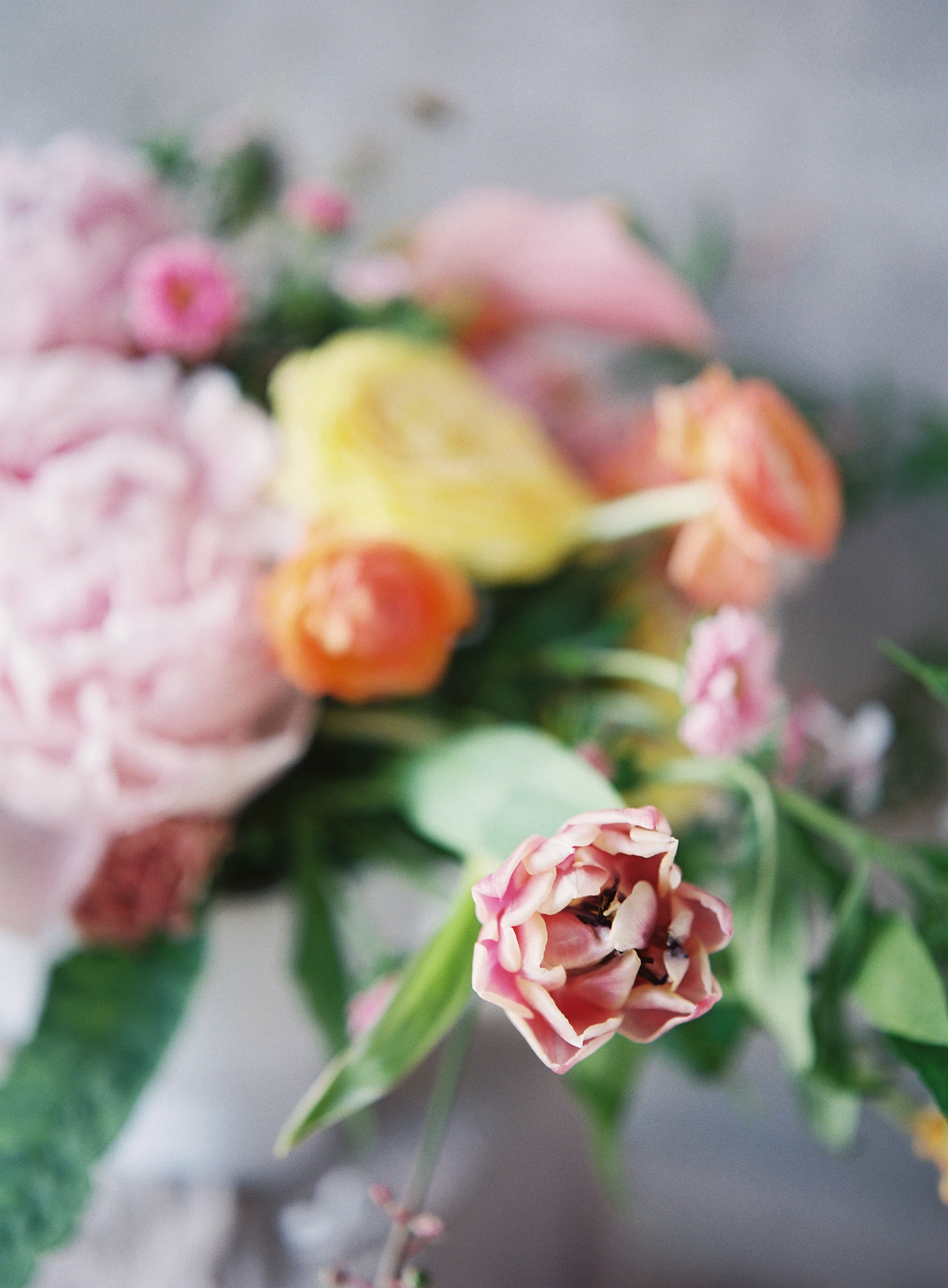 HeatherPaynePhoto_TeamFlowerJuly_24_2018_031.jpg