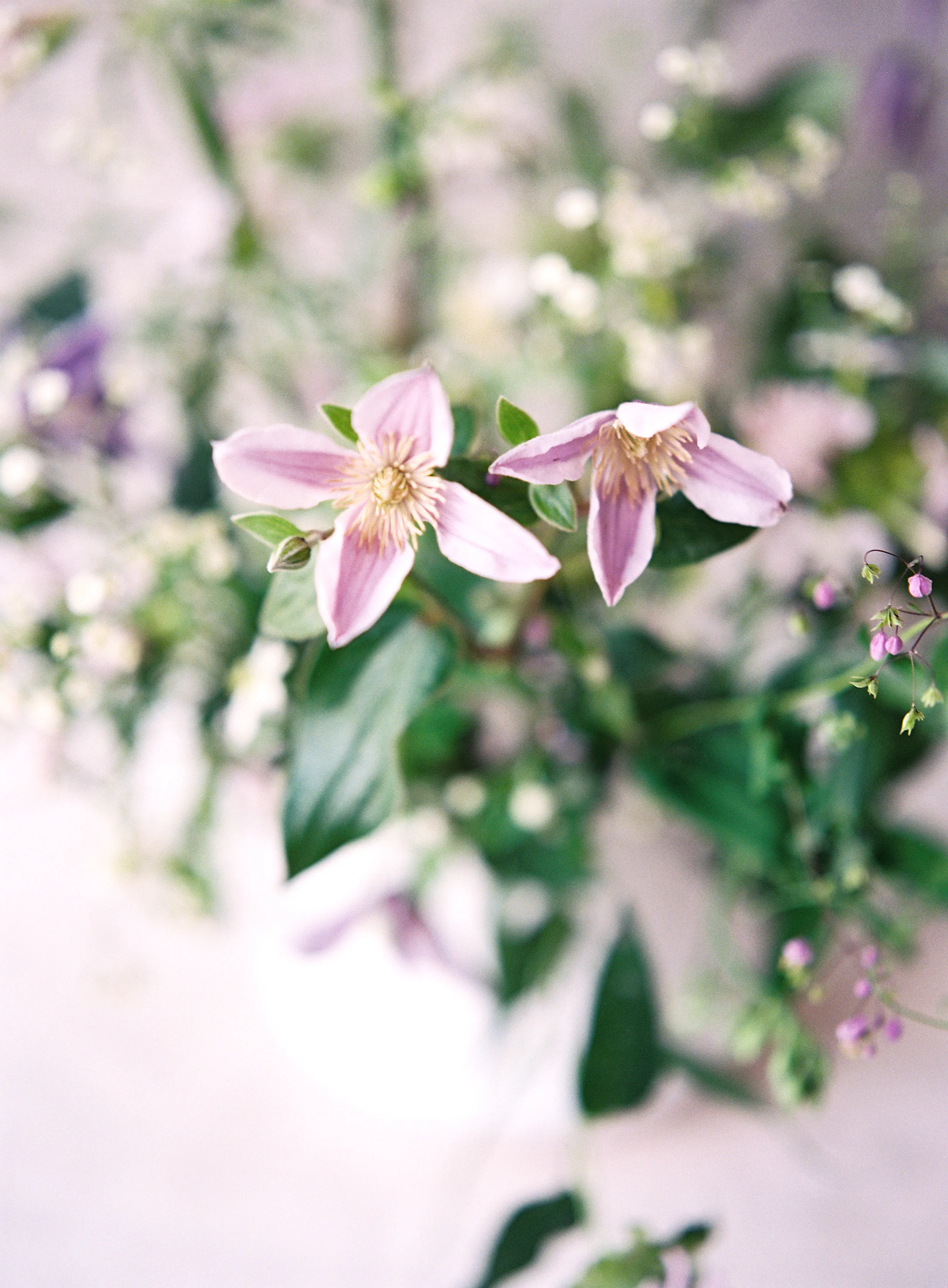 HeatherPaynePhoto77.jpg