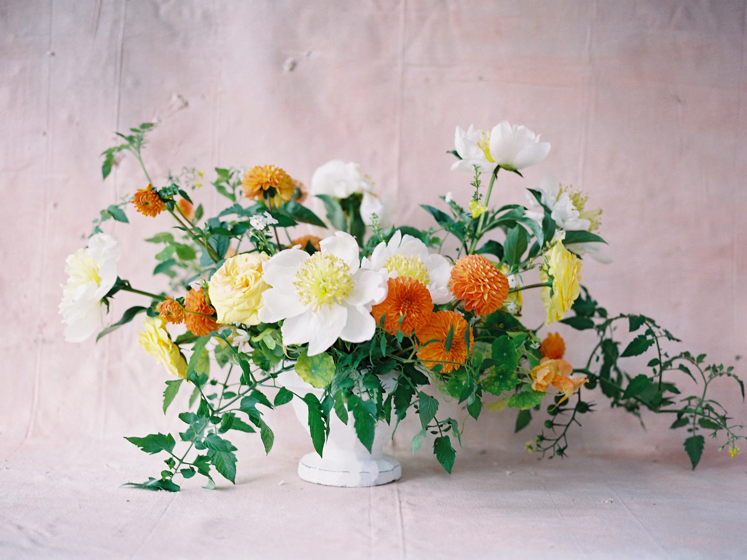 philosophyflowers1.jpg