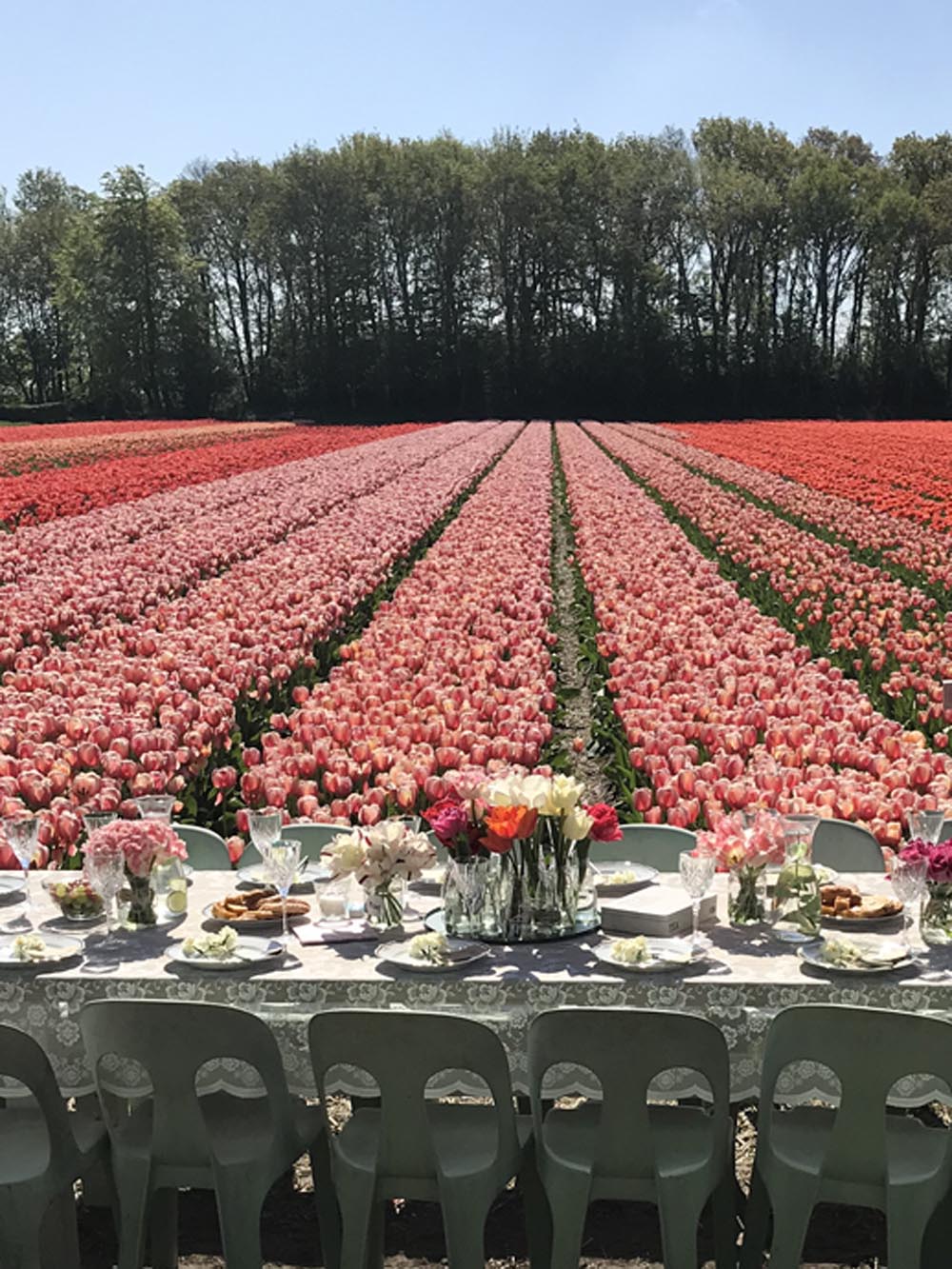 Instameet at our tulip fields.jpg
