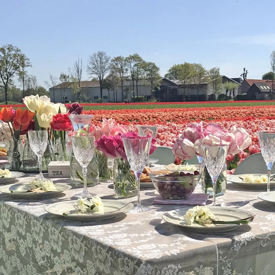 Lunch at our tulip fields.jpg