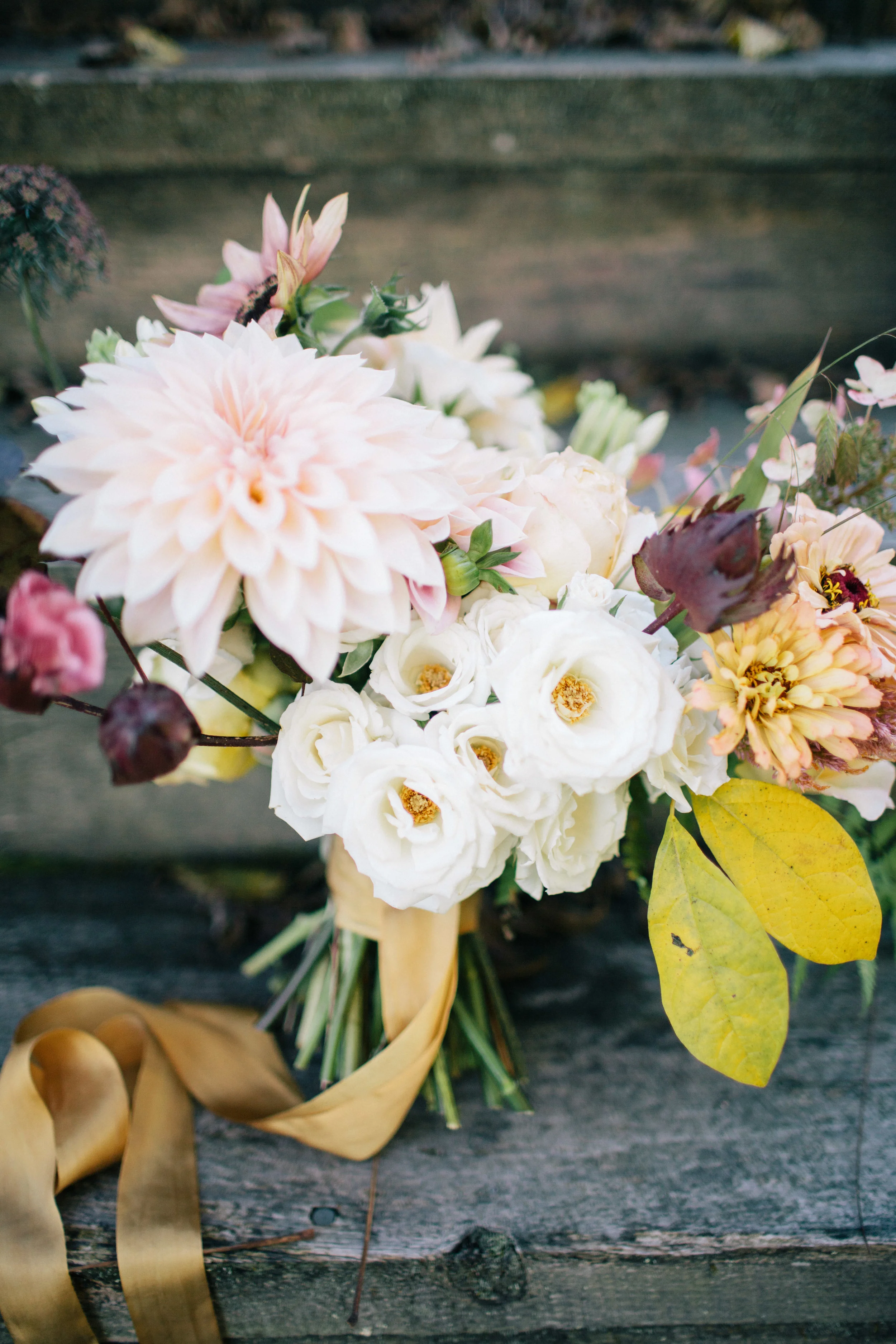 Sara Logan Photography