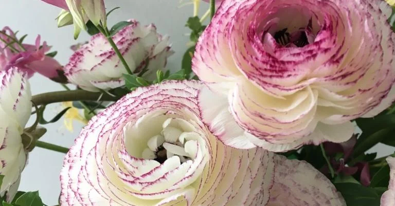 Video: How to Use Complementary Colors in Your Floral Arrangements