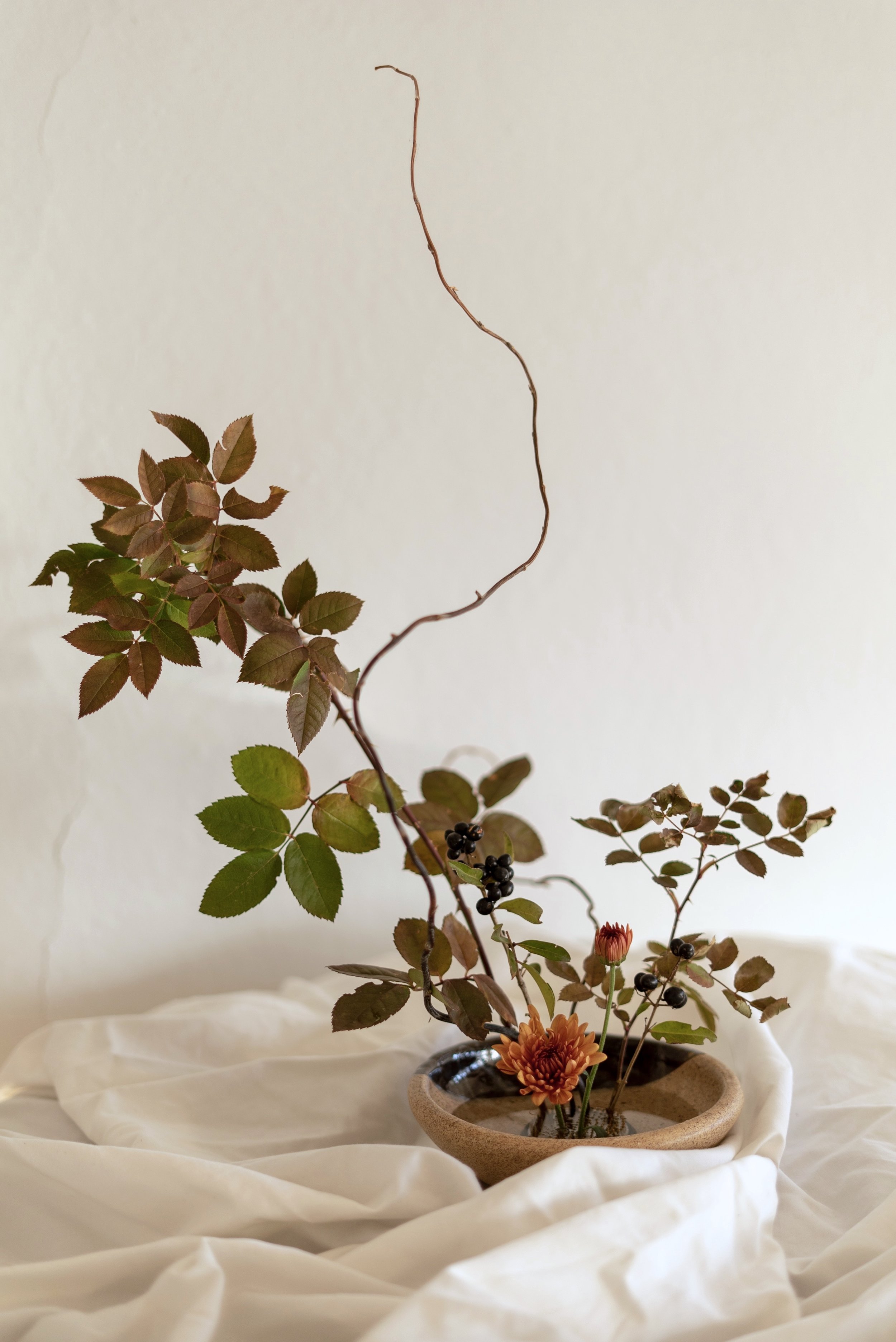 What Is Ikebana? The Mechanics of Ancient Japanese Floral Design