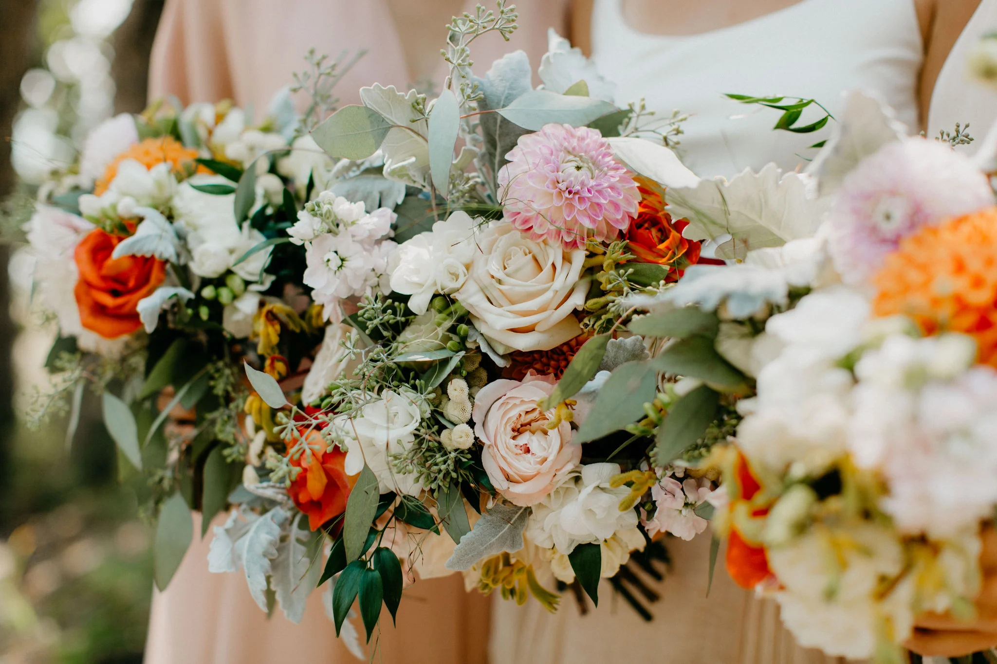 Jillian Dowes Photography