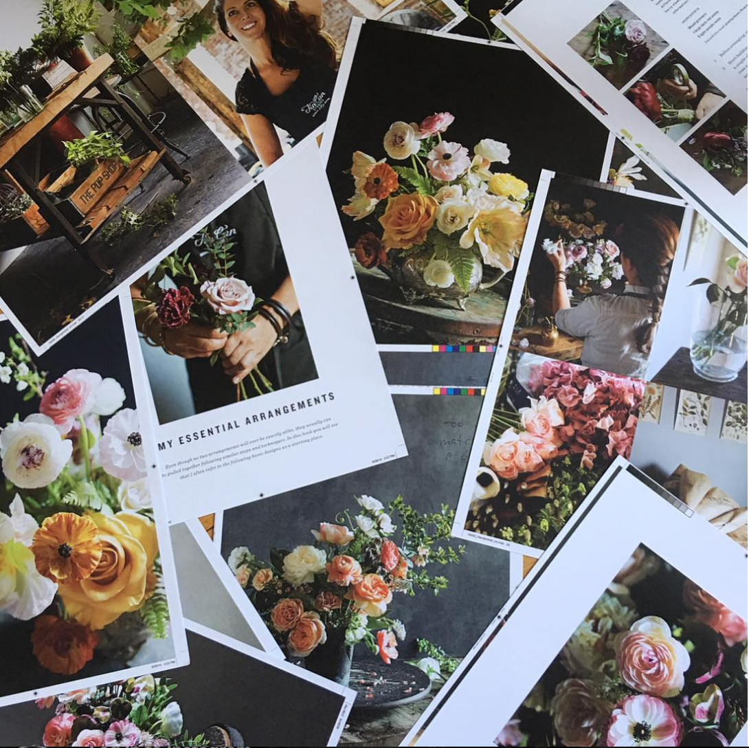Ingrid Carozzi:Tin Can Studios11.png