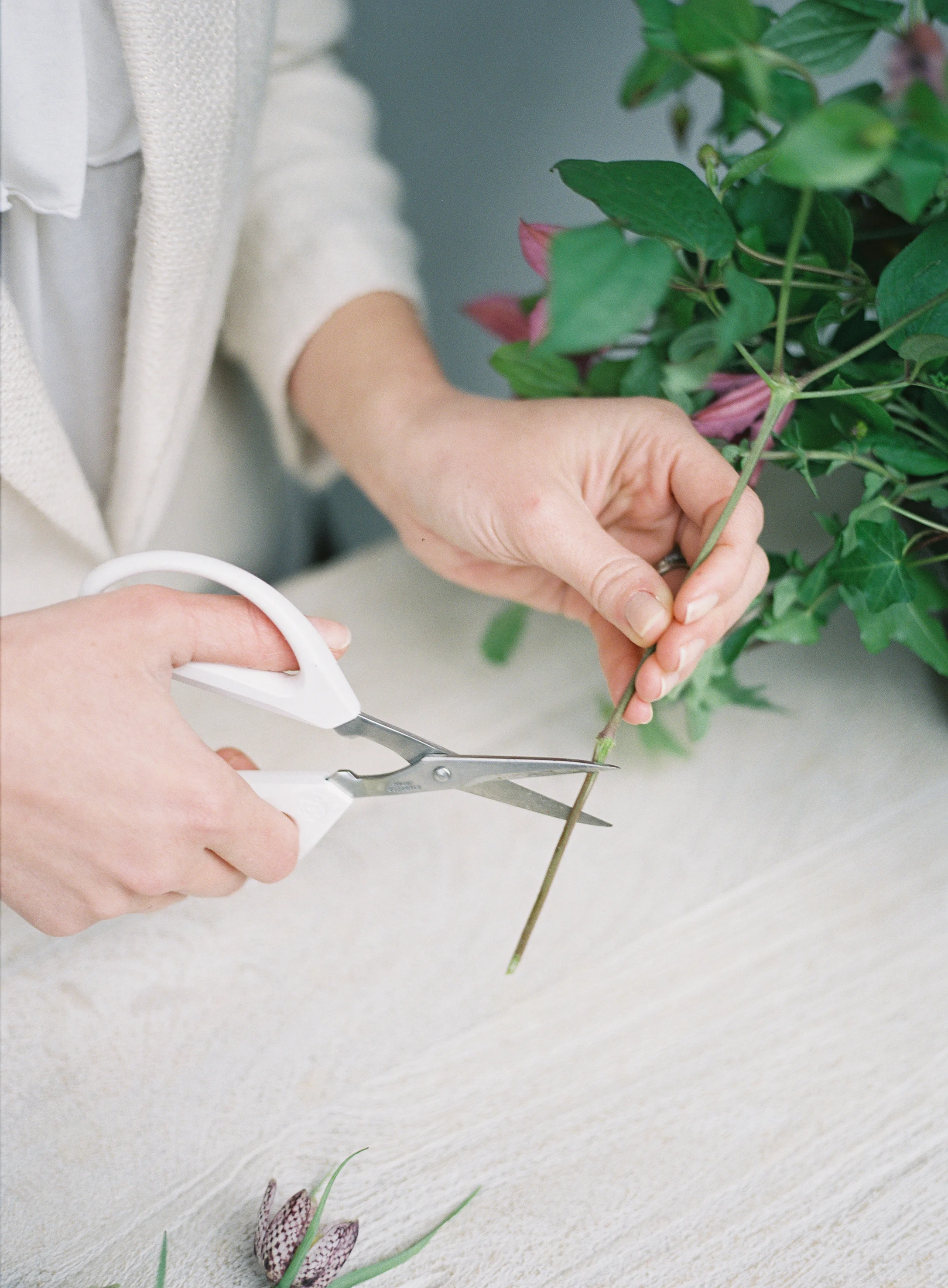 Heather Payne Photography