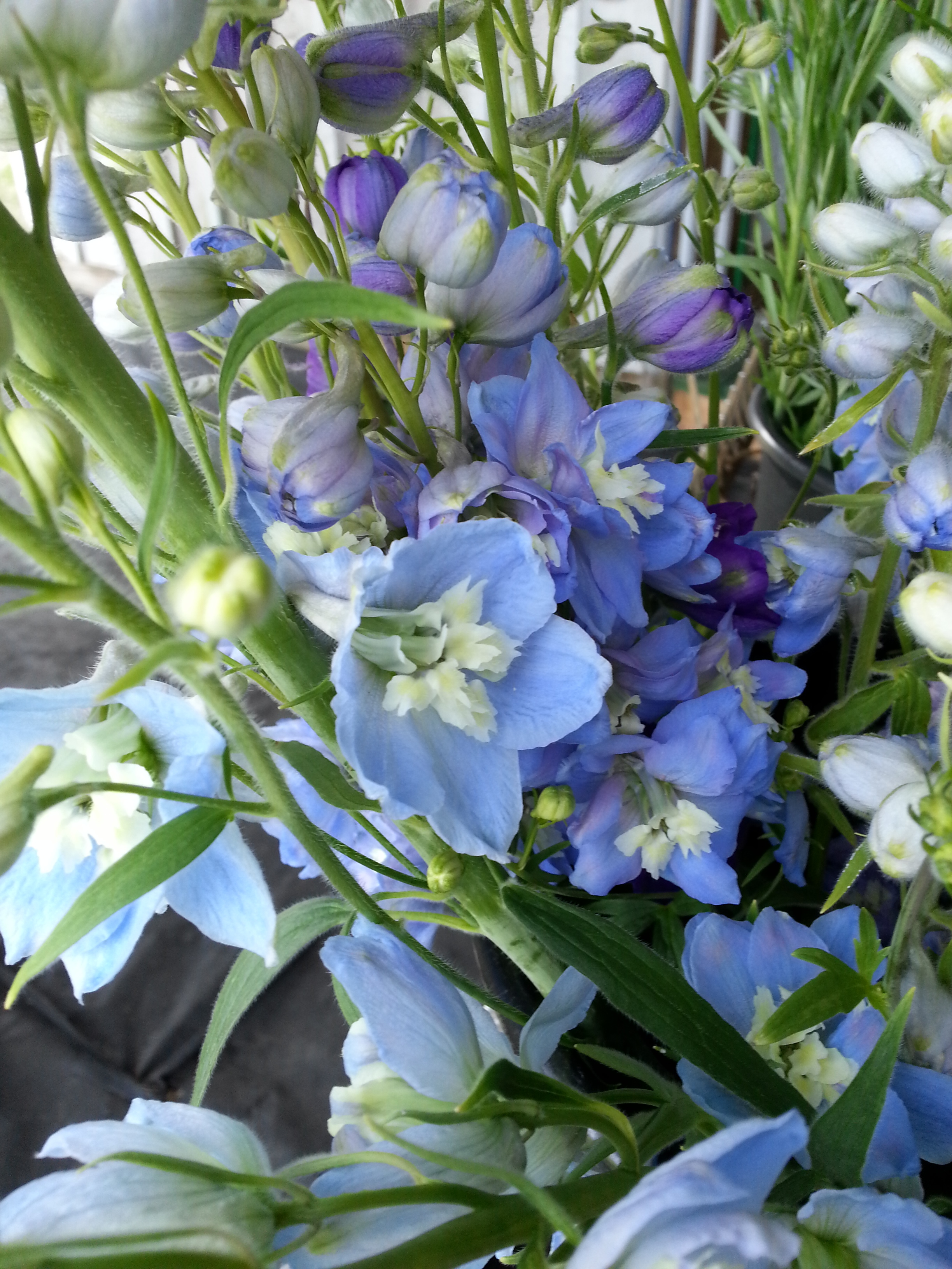 20130517_111311.jpg