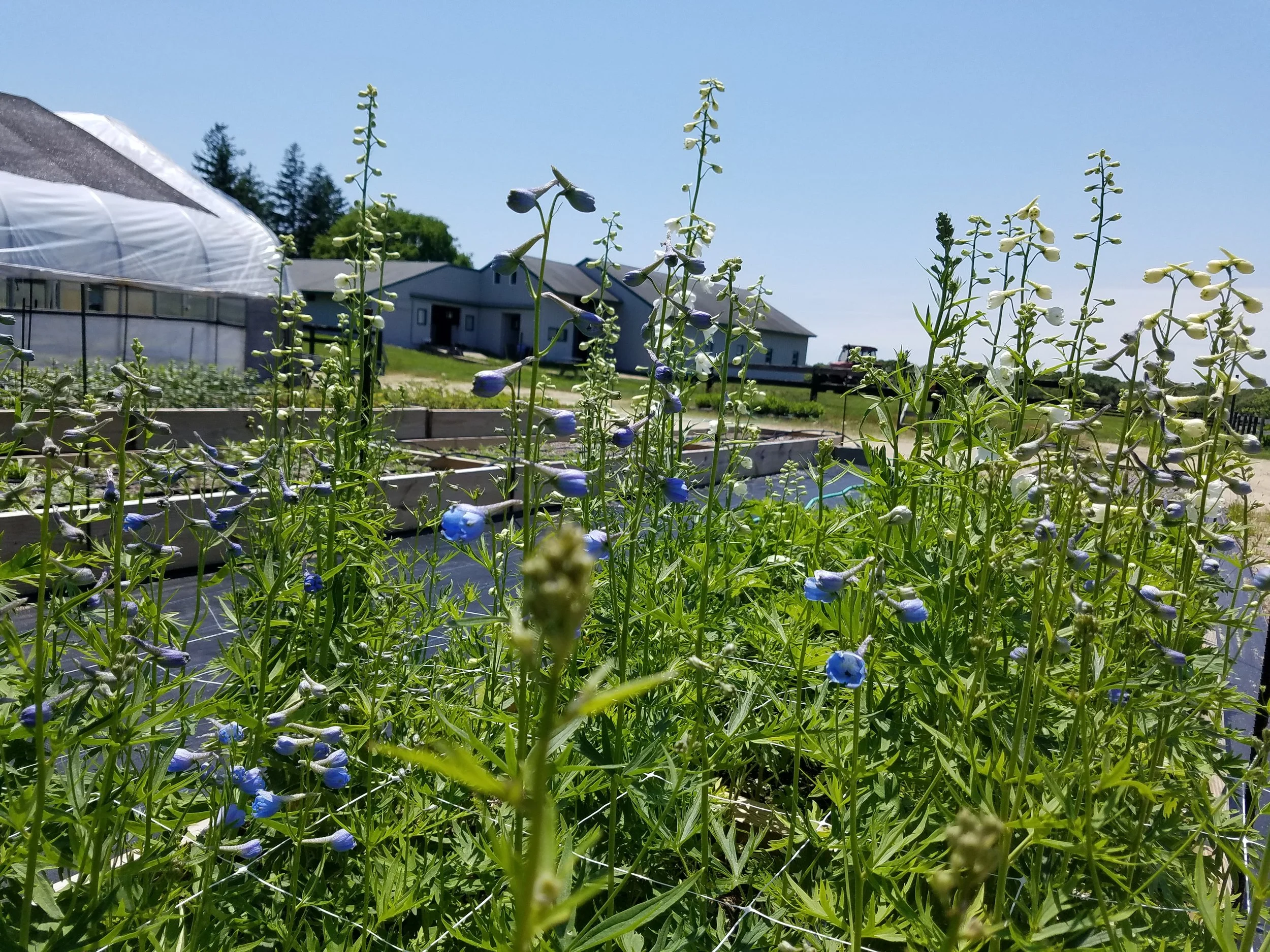 20180607_132701.jpg