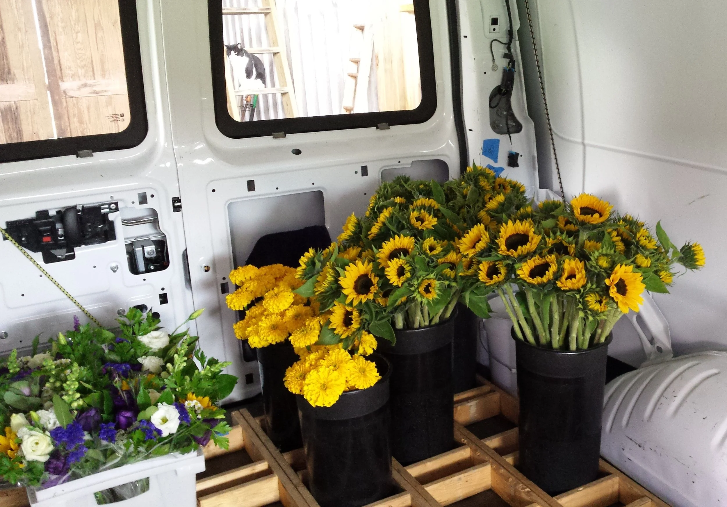 Brilliant Tips for Transporting Flowers from Your Farm