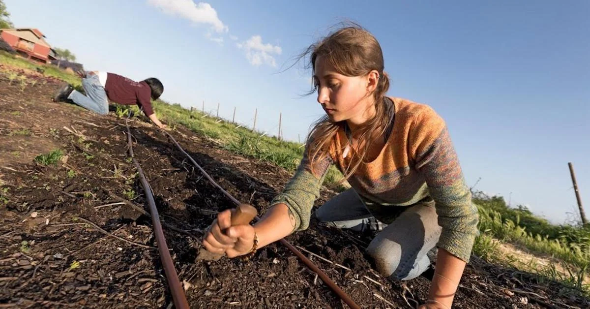 The Why and How of No-Till Flower Farming