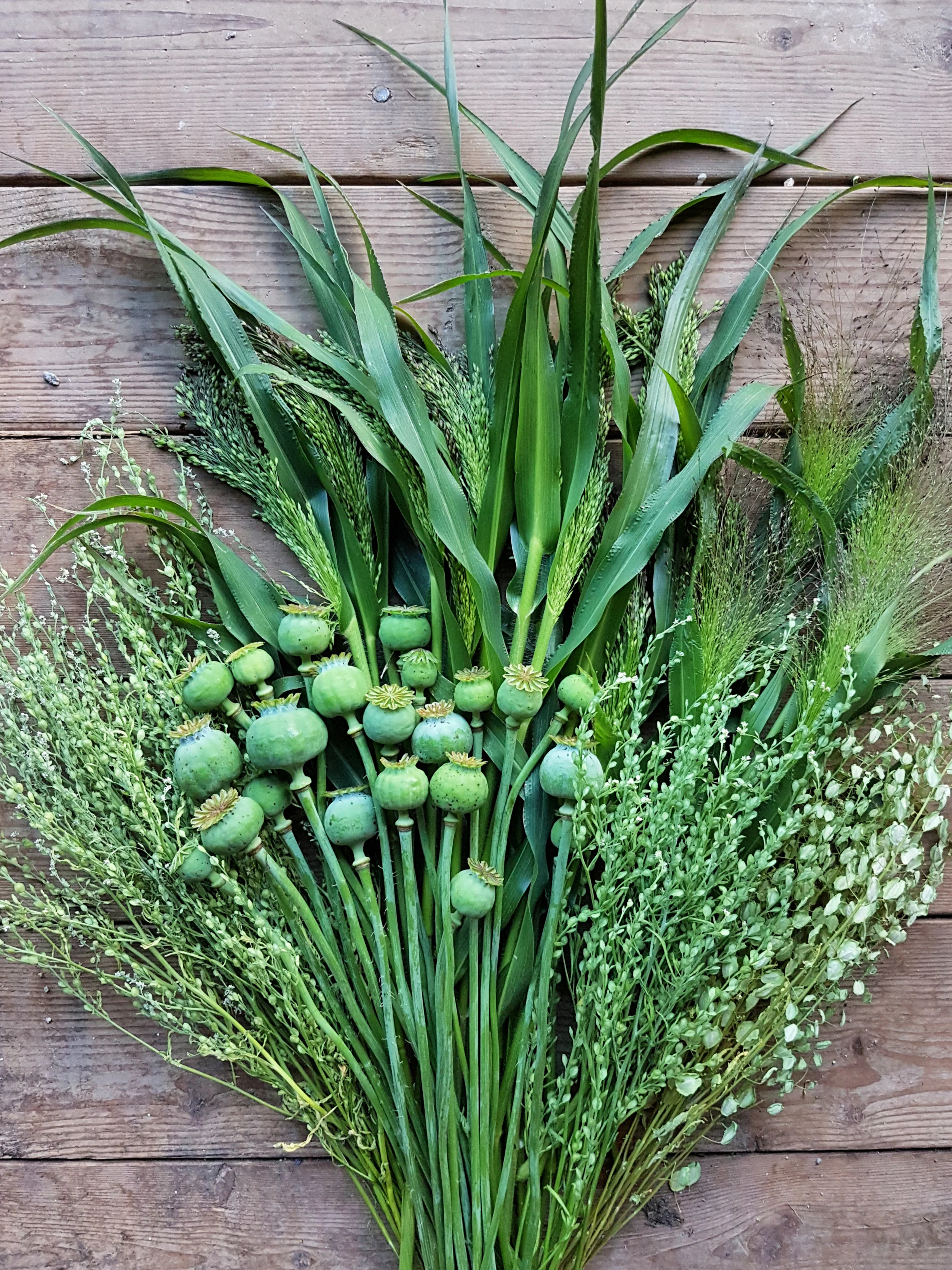 Grasses and seed pods add interest to your work, pictured here are poppy pods accompanied by cress and panicum grasses.