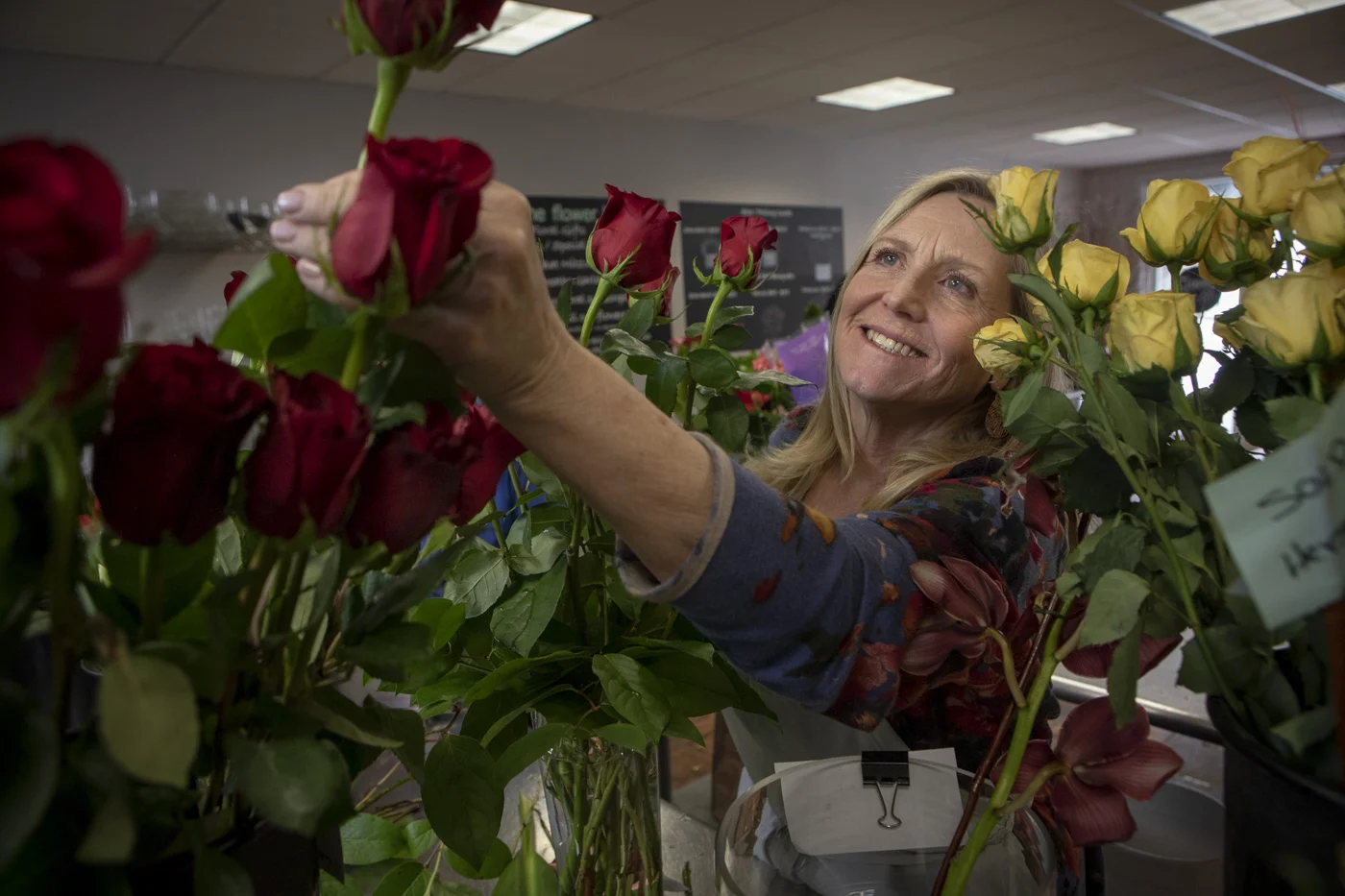 Roses.jpg
