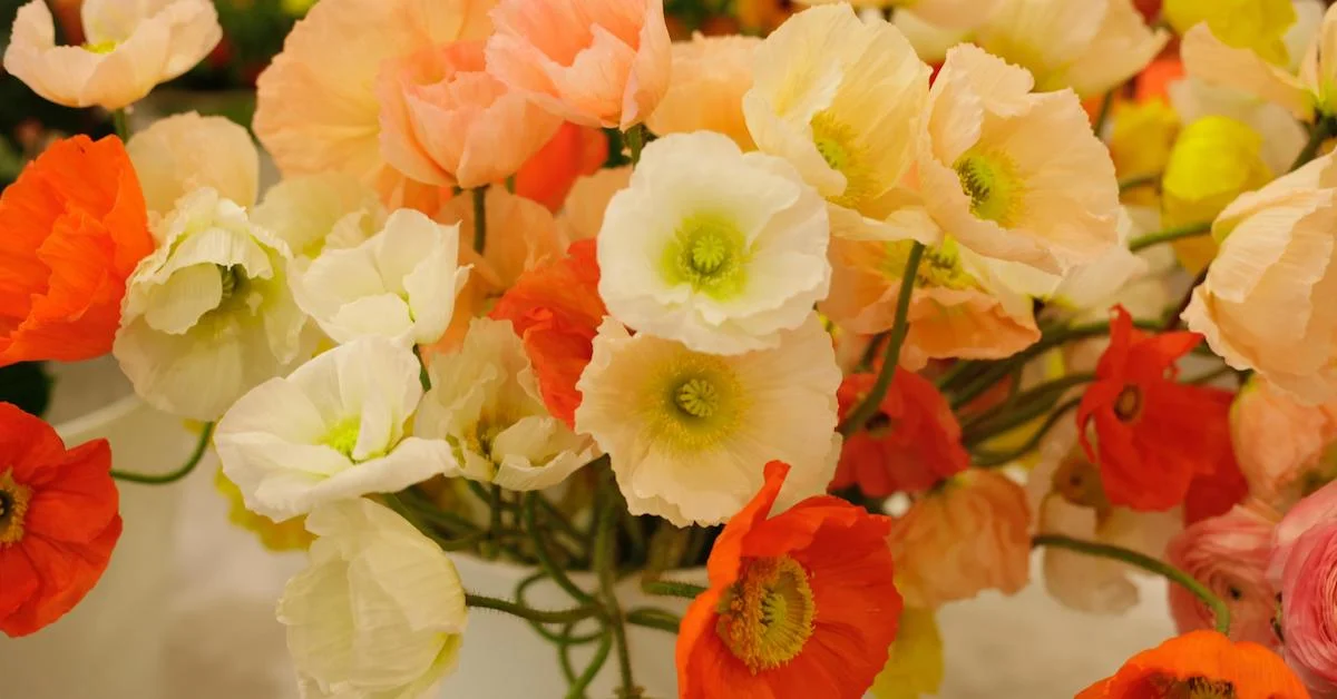 Fast Flower Video: Negative Space Arrangement with Poppies, Maidenhair Fern, and More!