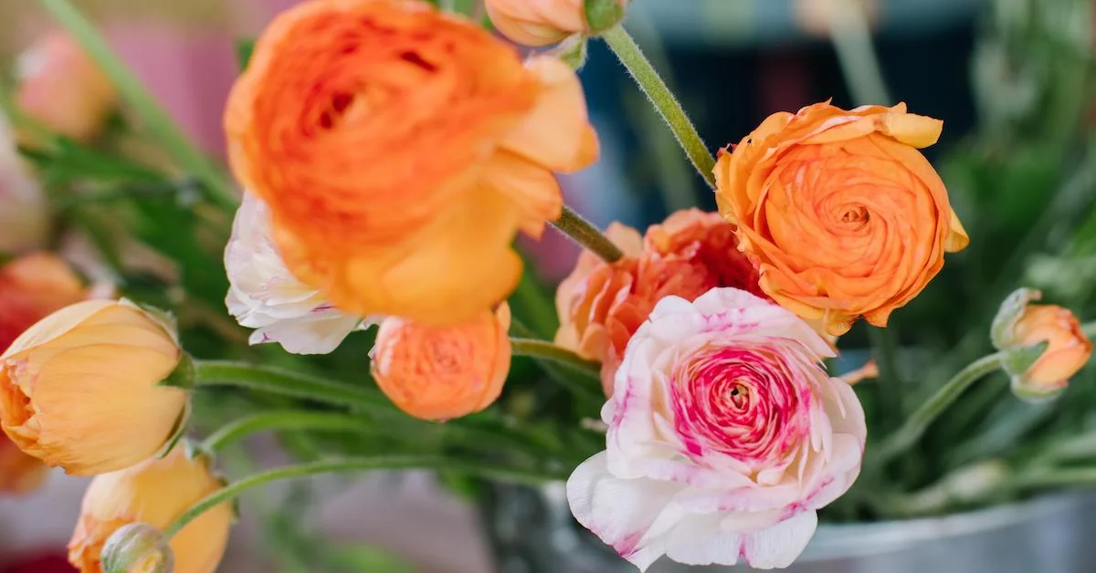 The Growing Kindness Project: Using Flowers to Brighten Your Community