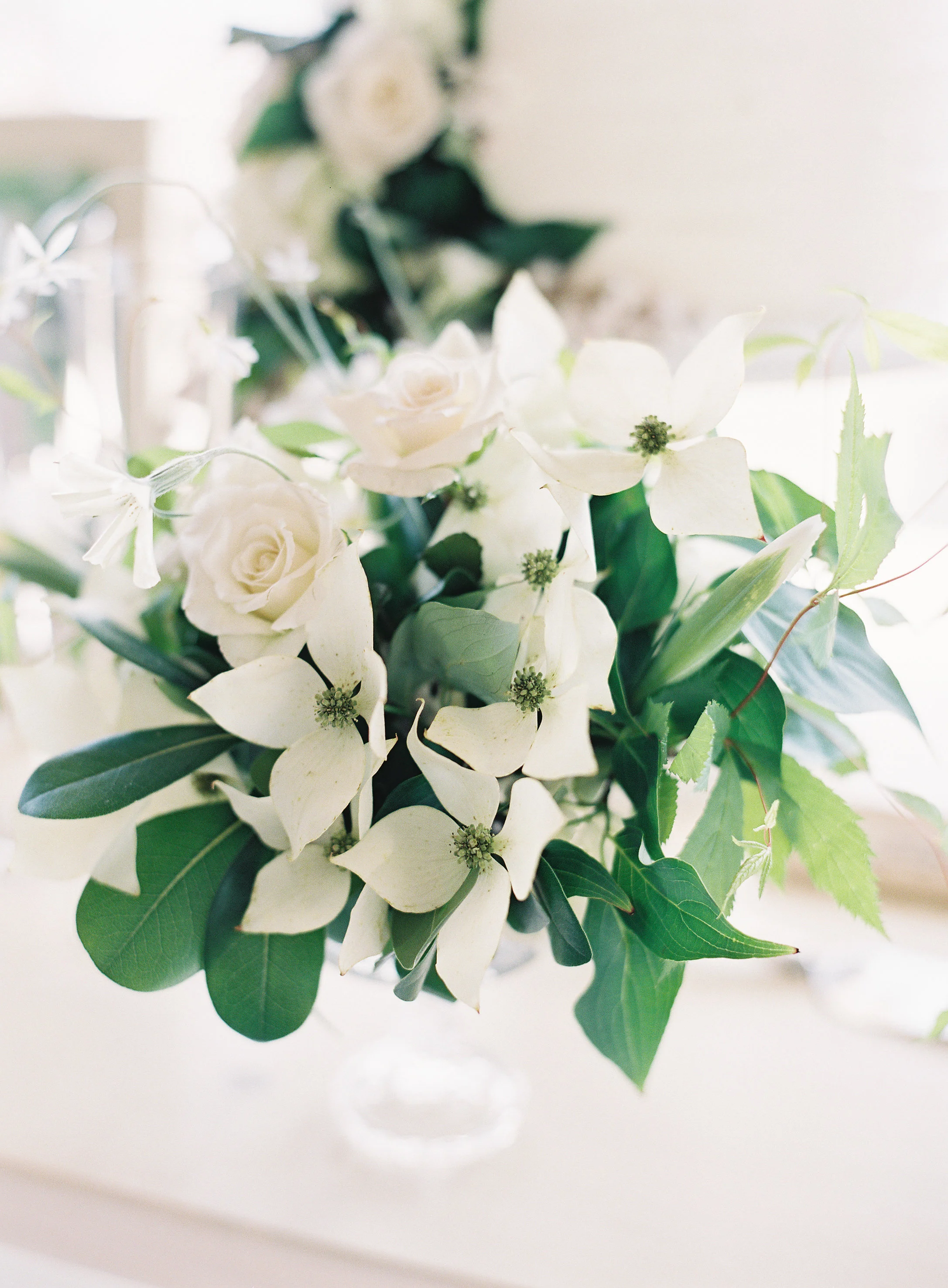 Natalie Watson Photography