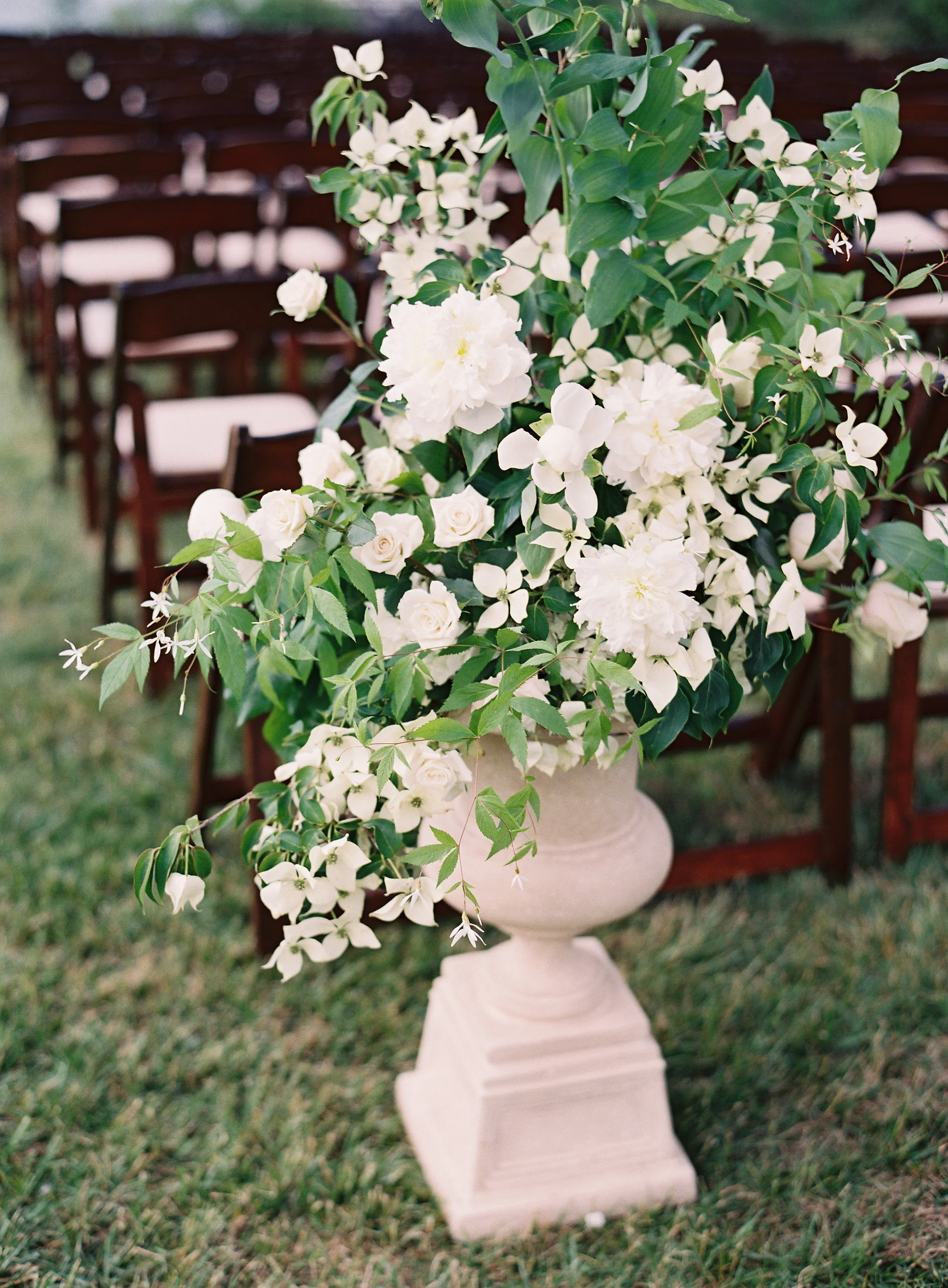 Natalie Watson Photography