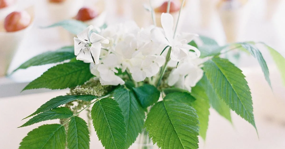Selling Flowers to Restaurants and Boutiques