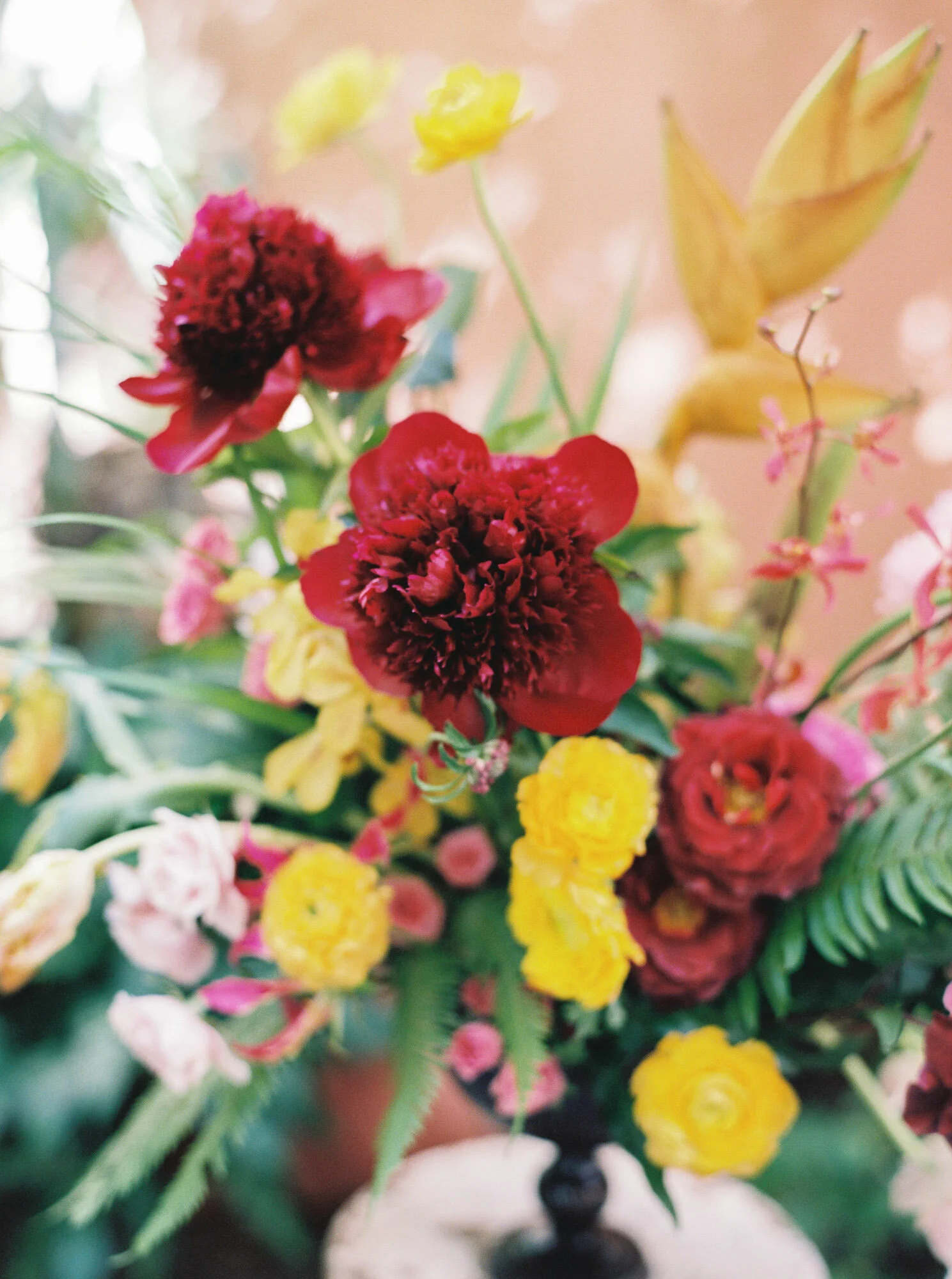Video How to Plant Peonies